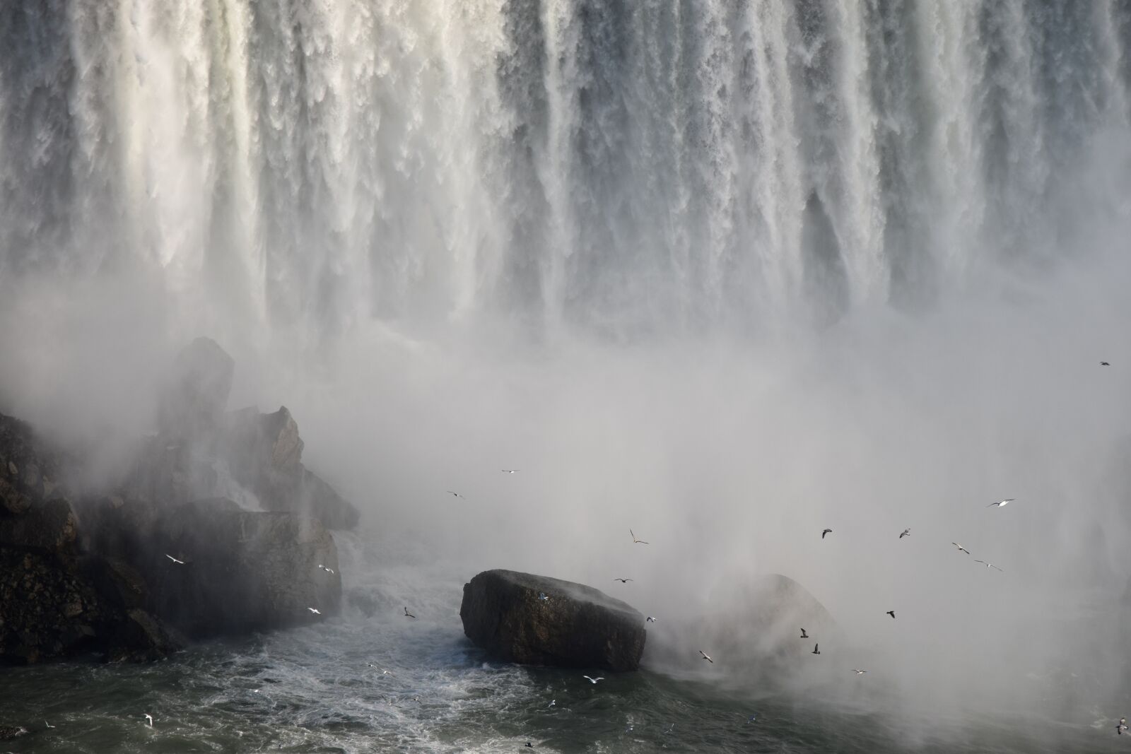 Nikon D5500 sample photo. Niagara falls, winter, birds photography