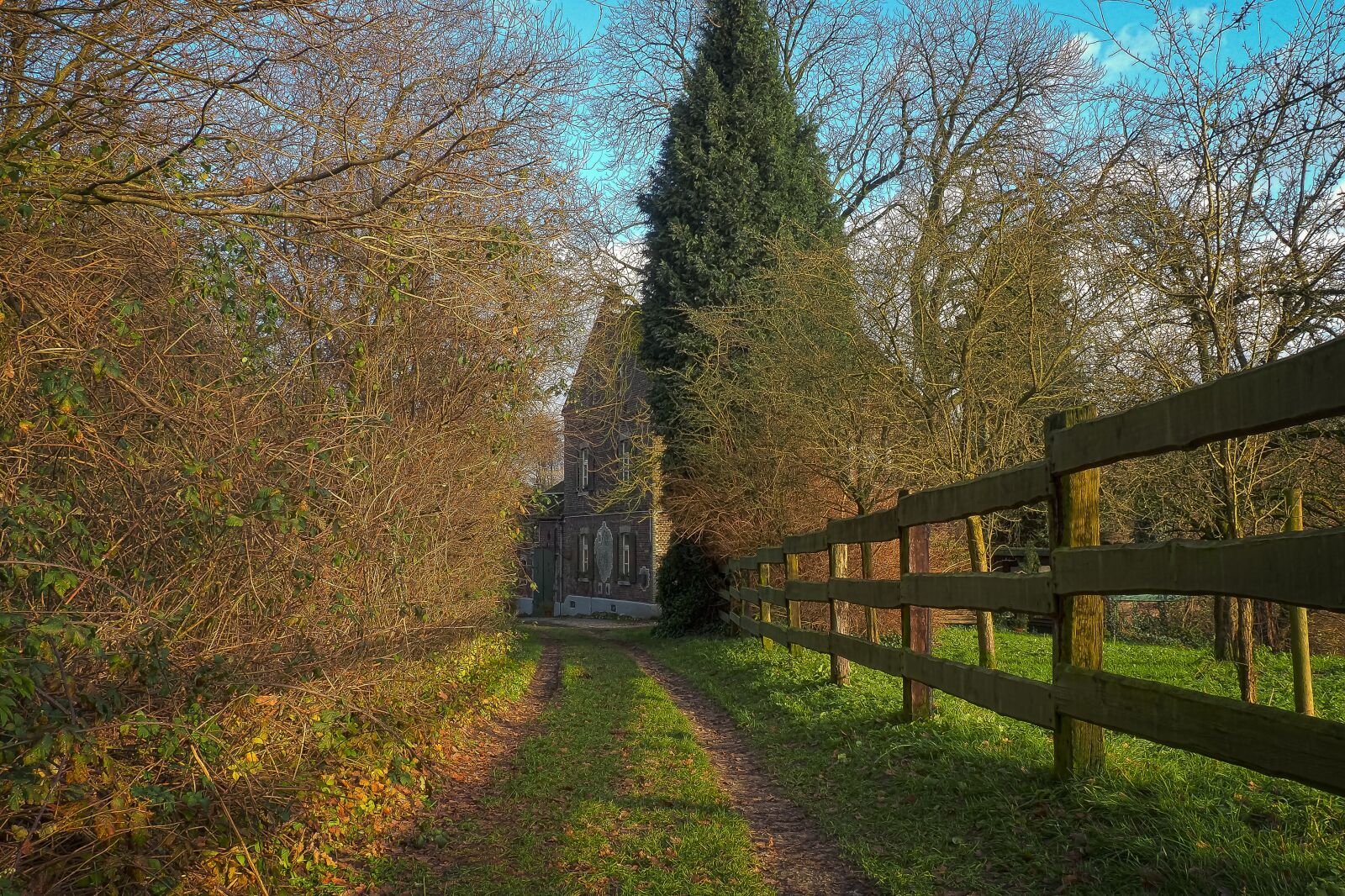 Olympus OM-D E-M10 sample photo. Trees, nature, landscape photography