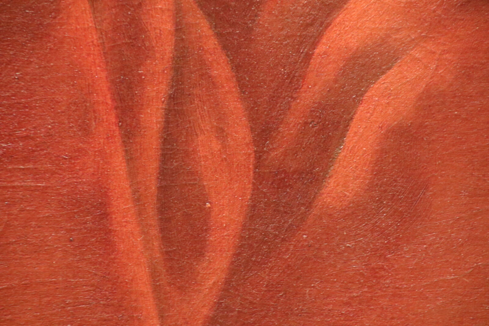 Canon EOS 7D Mark II sample photo. Fabric, paint, painting, red photography