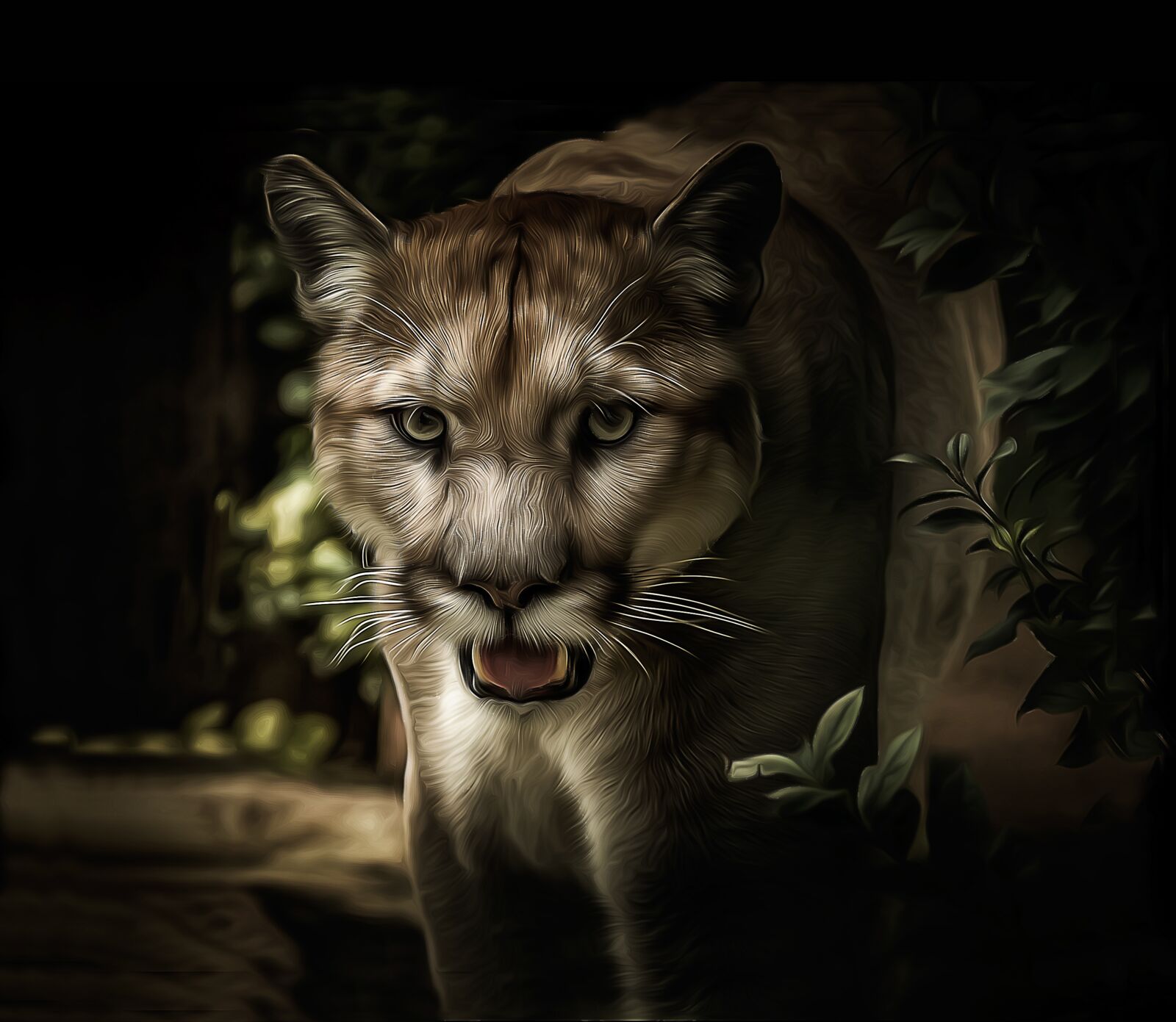 Nikon D7000 sample photo. Puma, feline, predator photography