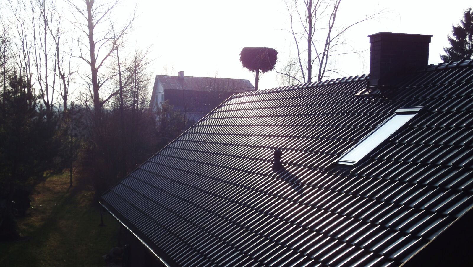 Sony Cyber-shot DSC-WX1 sample photo. Garden, roof, spring, sun photography