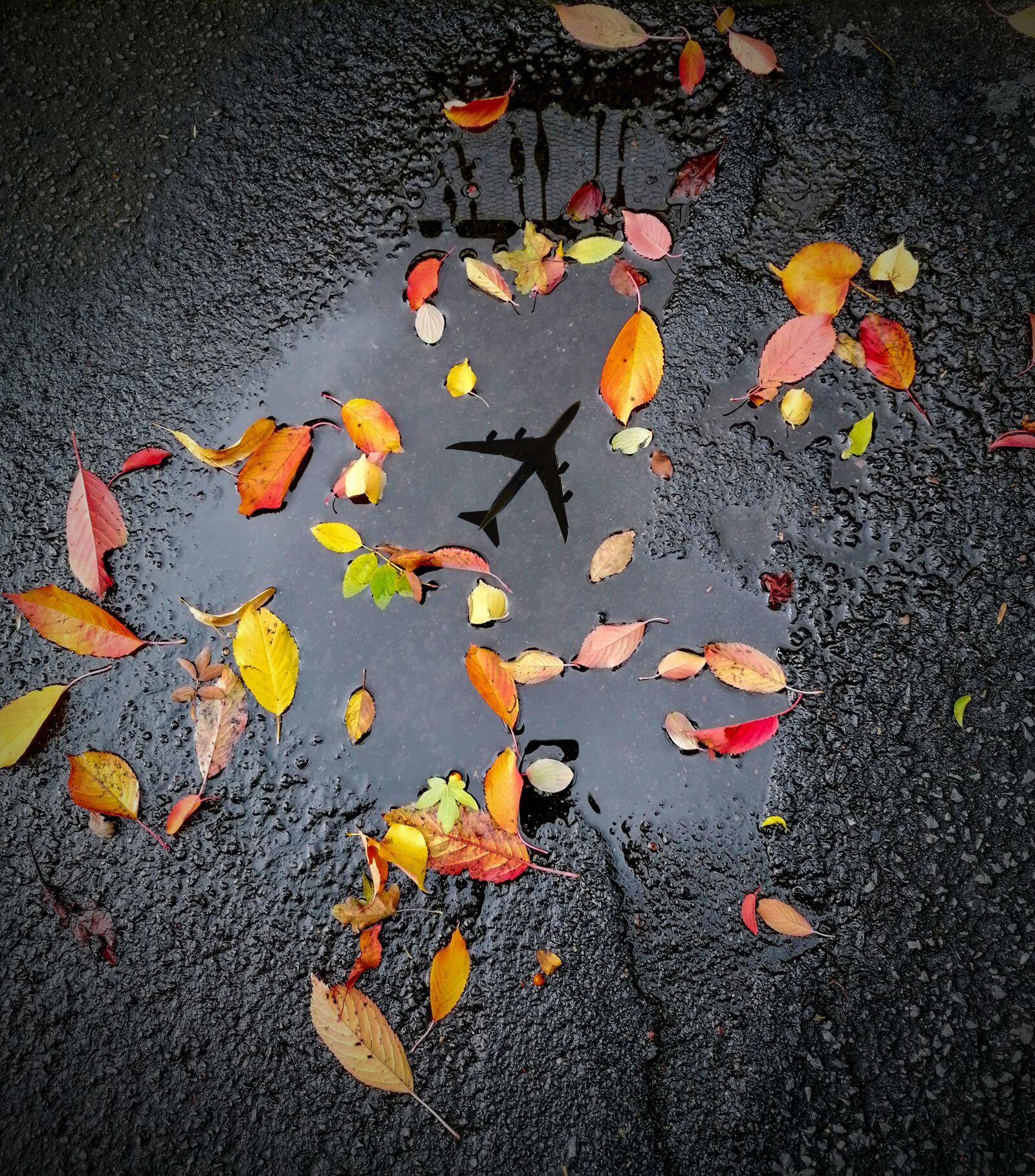 HUAWEI P30 LITE sample photo. Puddle, leaves, autumn photography