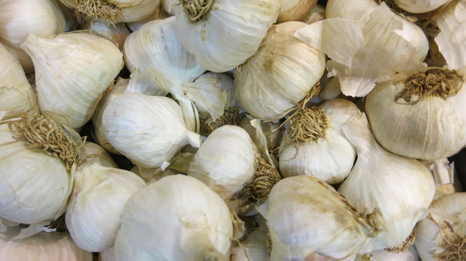 Canon PowerShot S110 sample photo. Raw garlic, bulbs, fresh photography