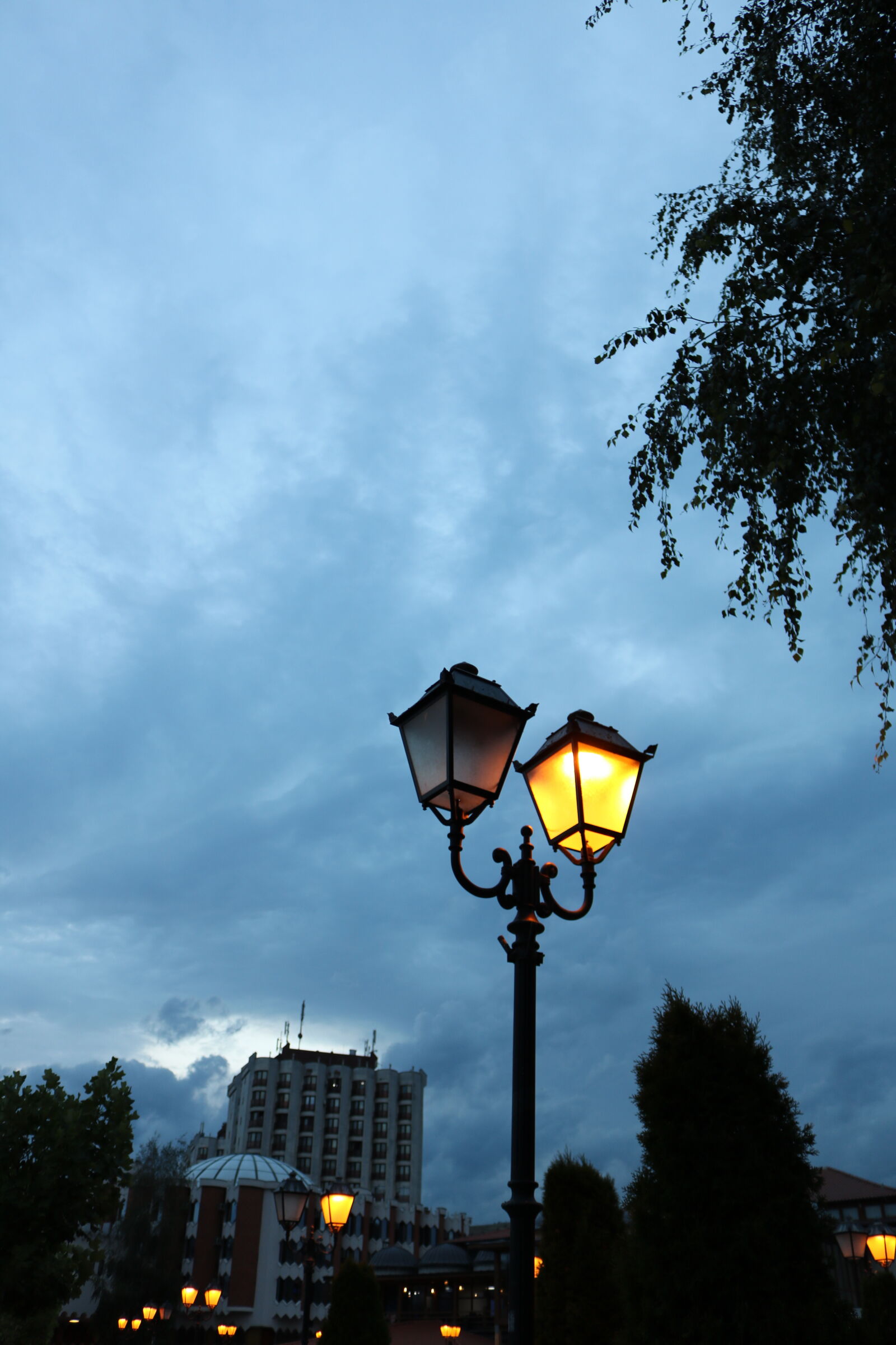Canon EOS 750D (EOS Rebel T6i / EOS Kiss X8i) sample photo
