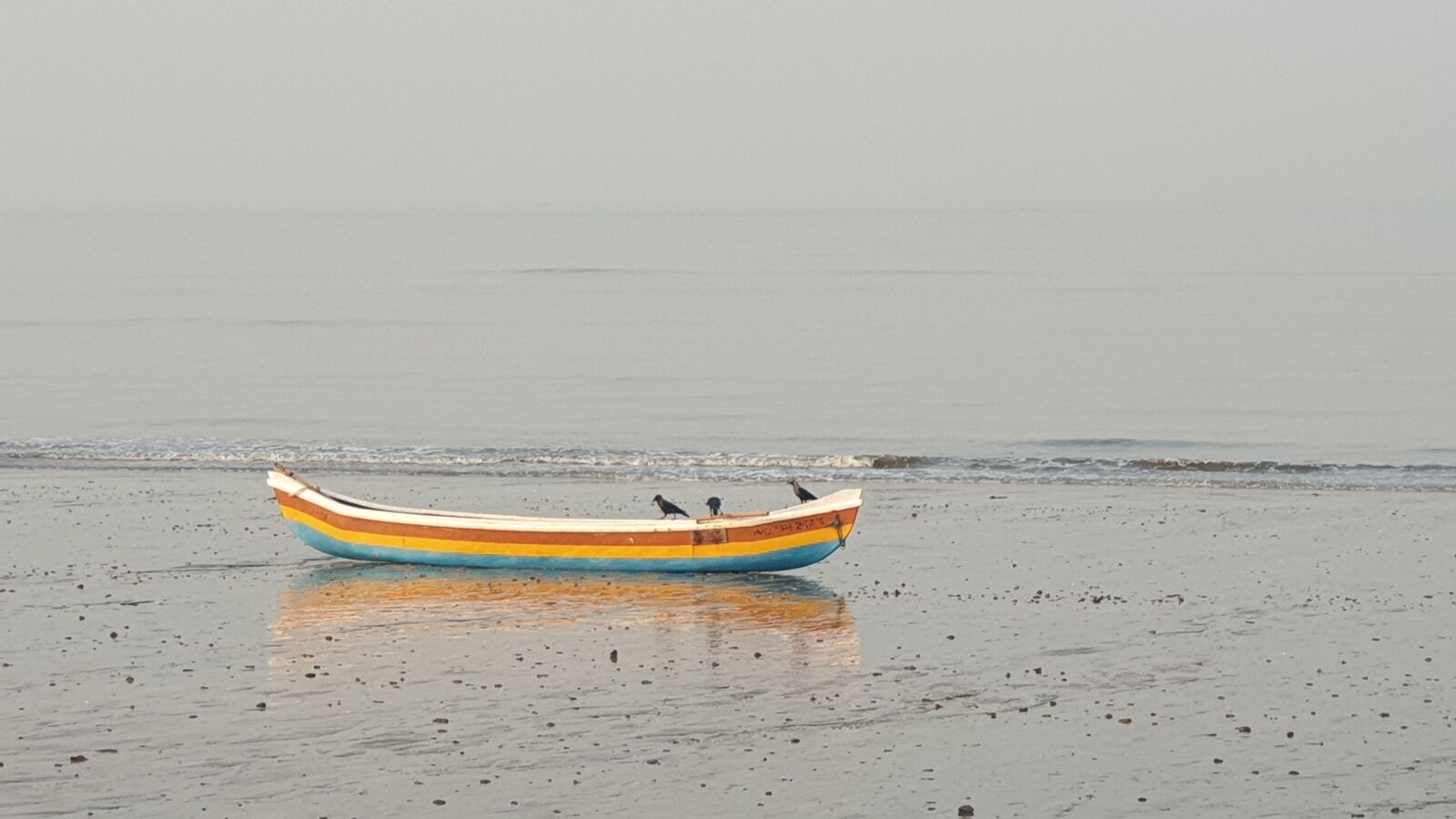 Samsung Galaxy S9+ sample photo. Boat, beach, crow photography