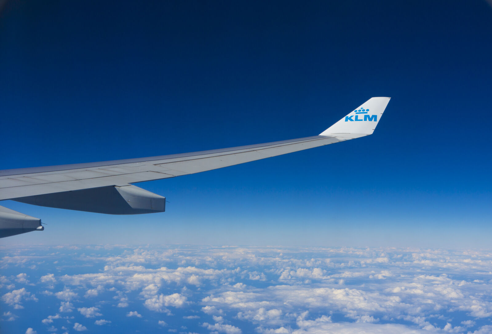 Canon EF 24-70mm F2.8L USM sample photo. Aeroplane, aircraft, aircraft, wing photography