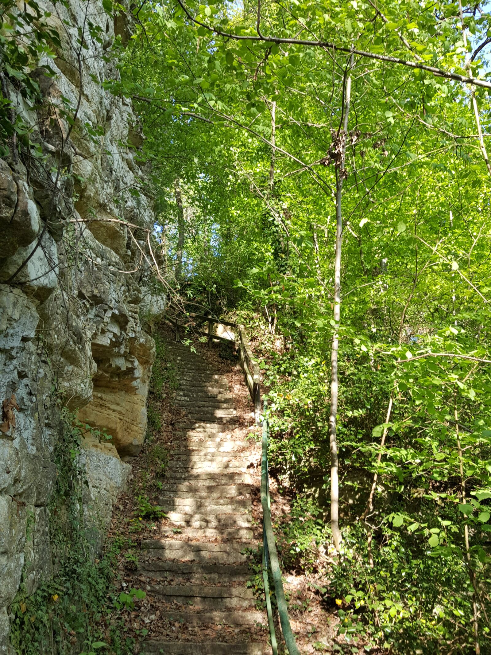 Samsung Galaxy S6 sample photo. Stairs, forest, green photography
