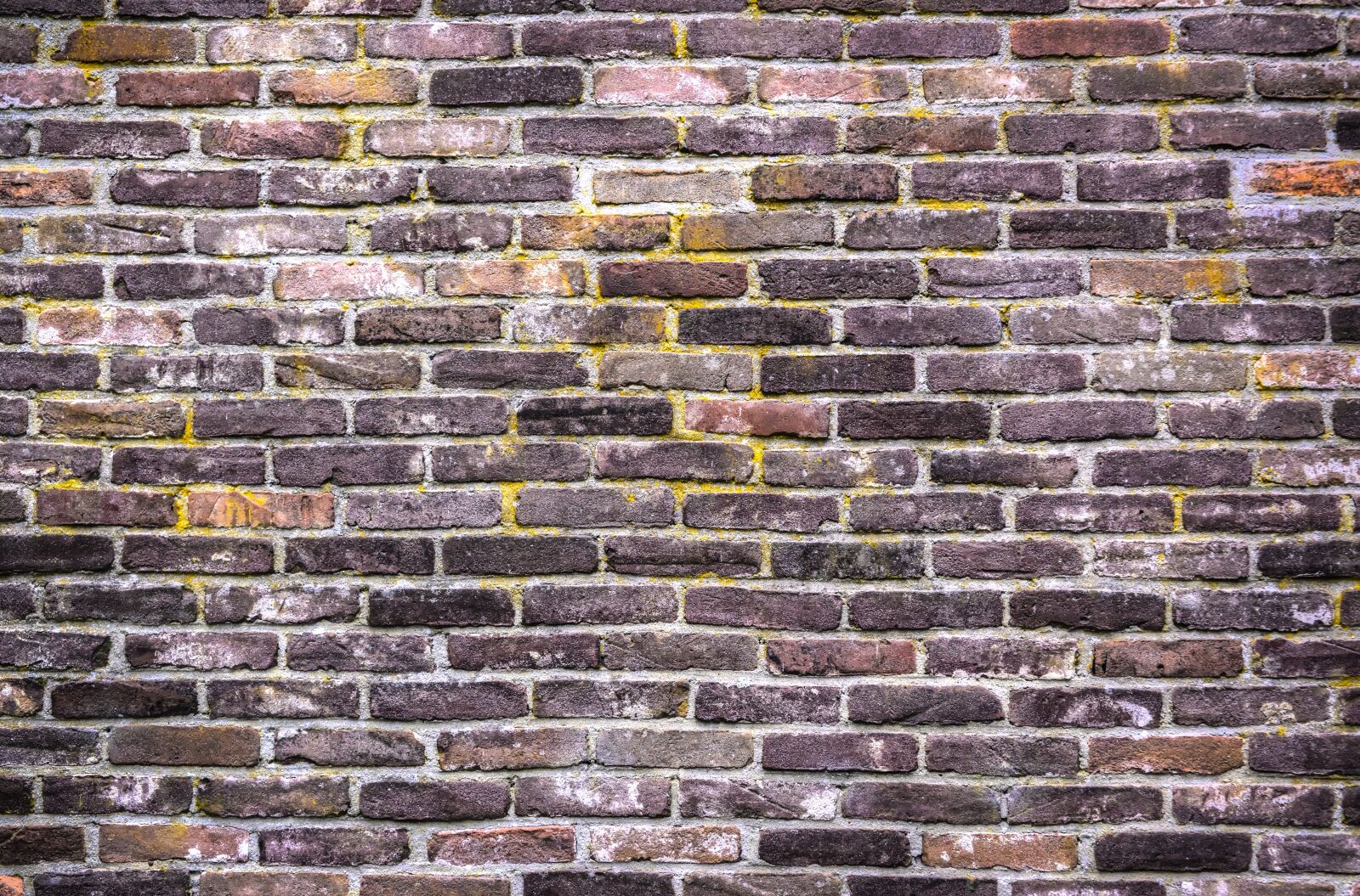 Nikon D610 sample photo. Brick, wall, pattern photography