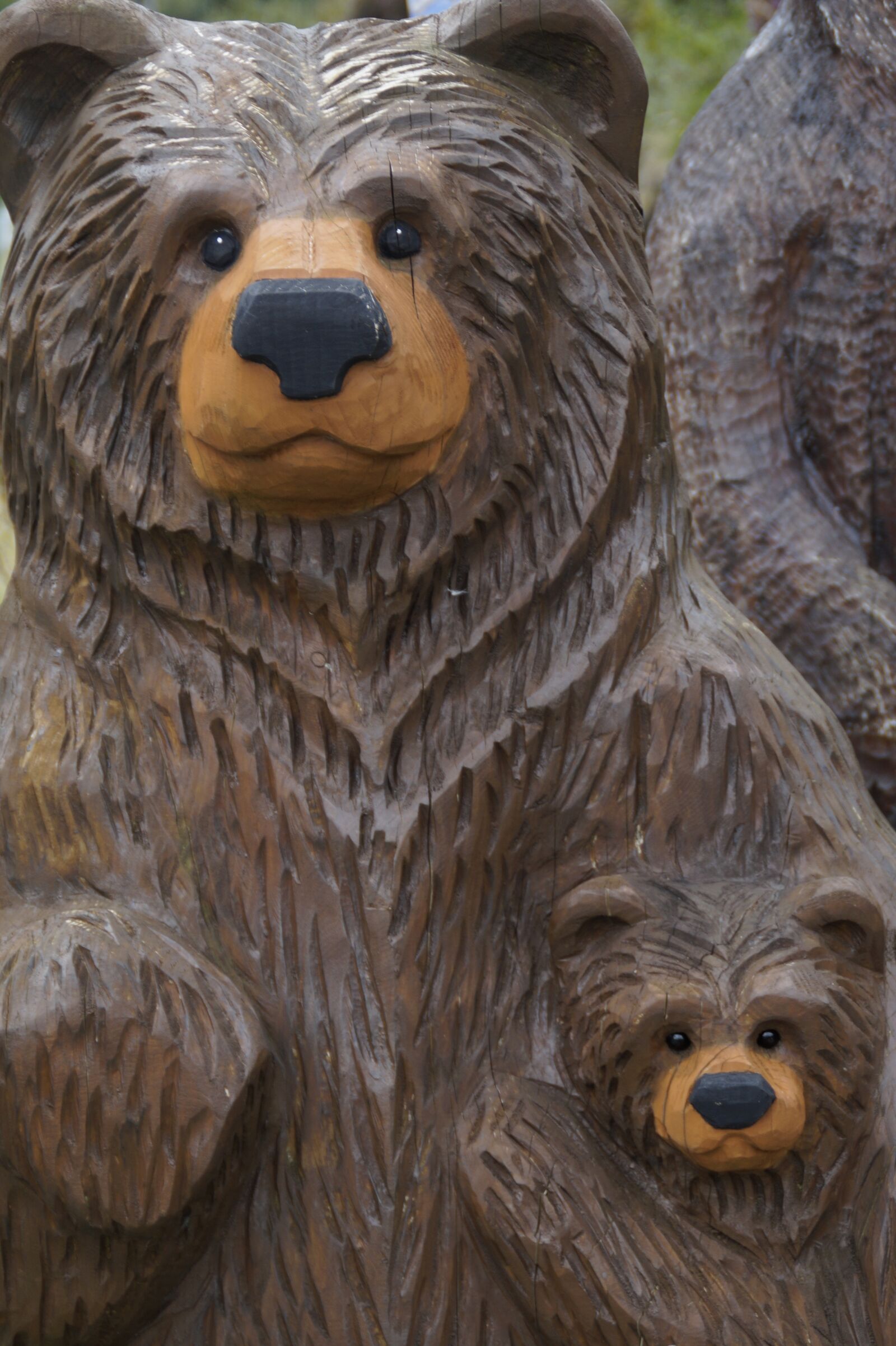 Sony SLT-A58 sample photo. Bear, wood, mother and photography