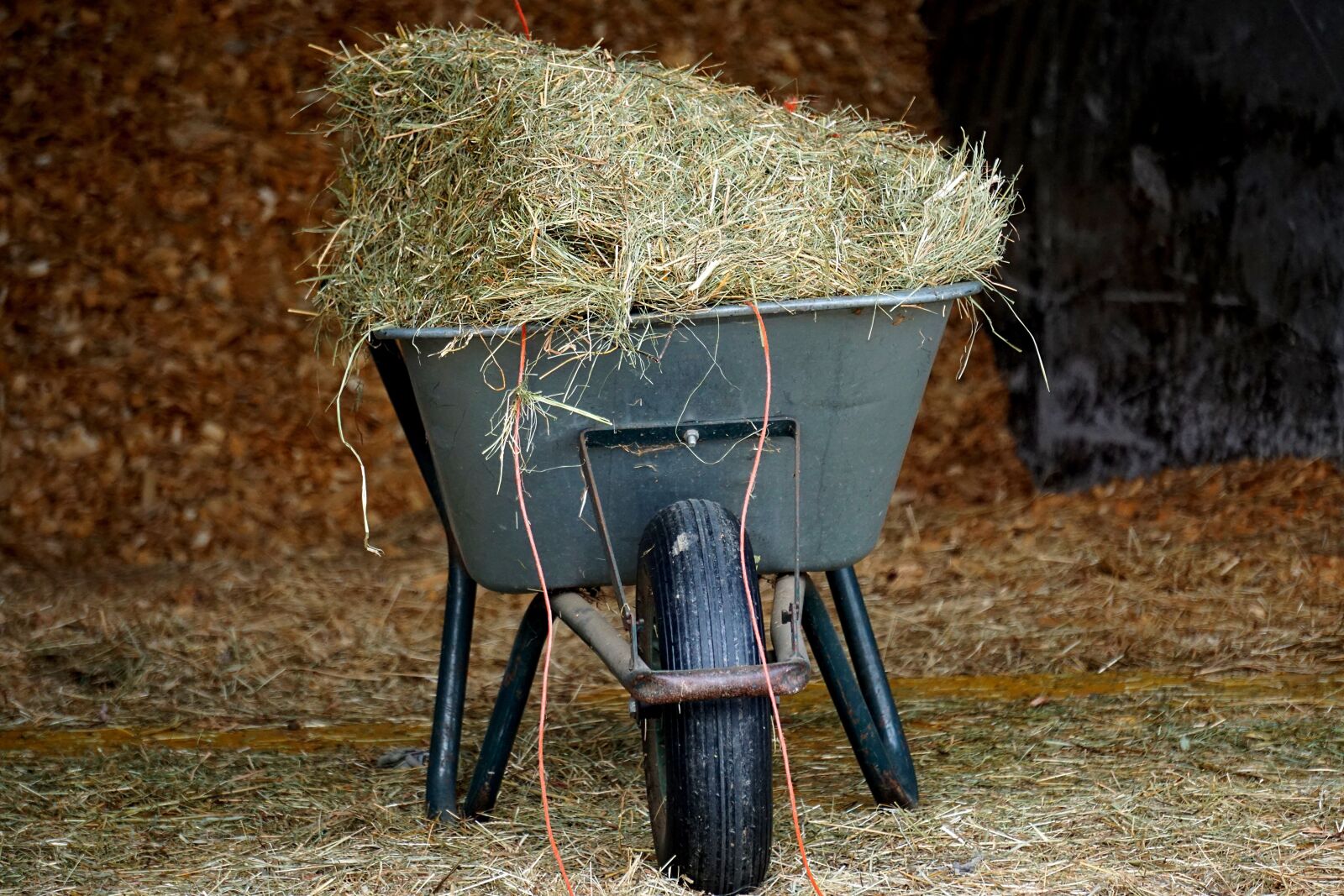 Sony E 55-210mm F4.5-6.3 OSS sample photo. Hay, wheelbarrow, agricultural photography