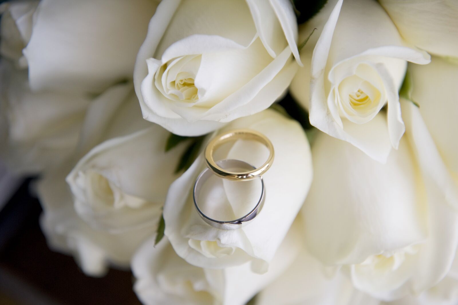 Nikon D700 sample photo. Wedding, wedding rings, marriage photography