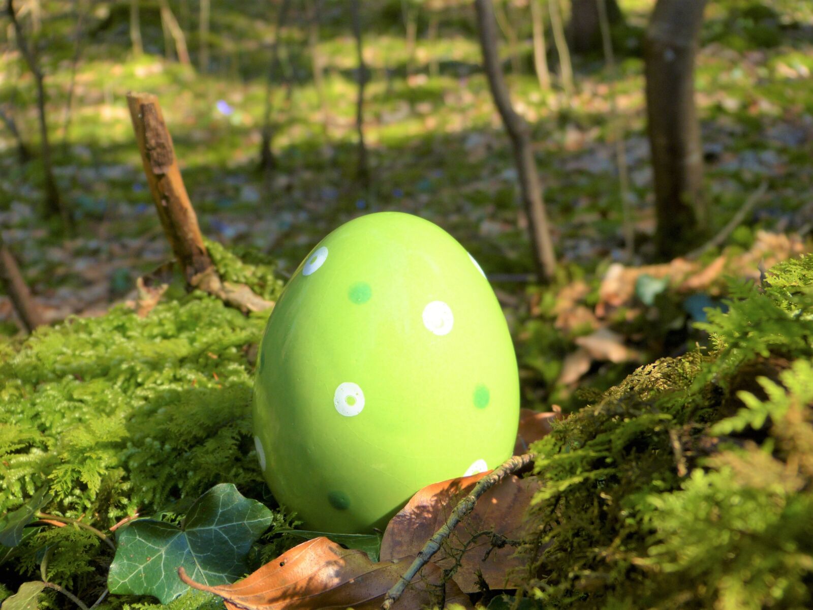 Panasonic Lumix DMC-FZ150 sample photo. Easter egg, ceramic, green photography