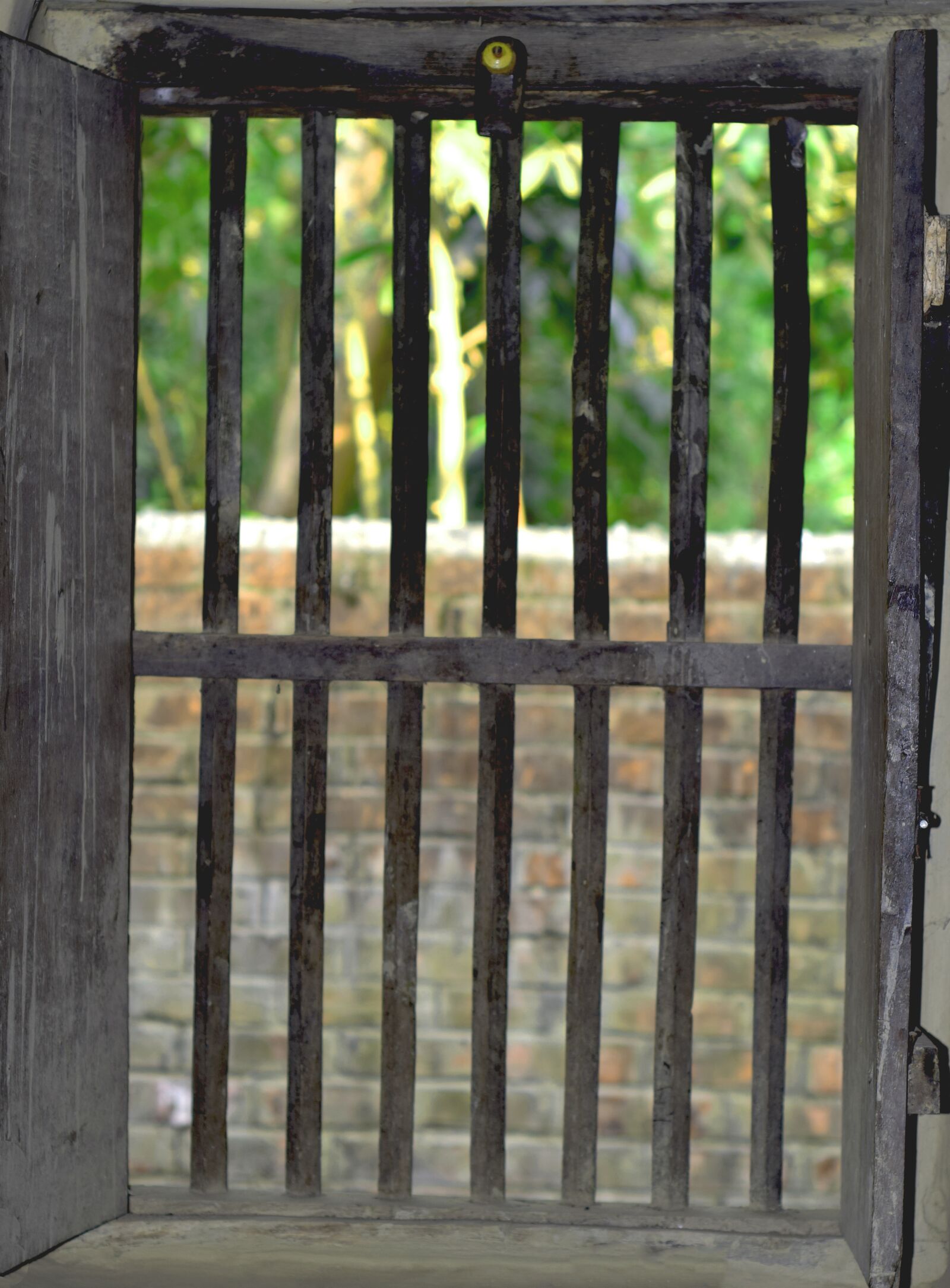 Nikon D5300 sample photo. Window, green, wooden window photography