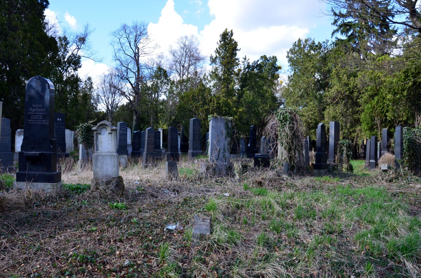 Nikon D5100 sample photo. Cemetery, tombstone, old cemetery photography