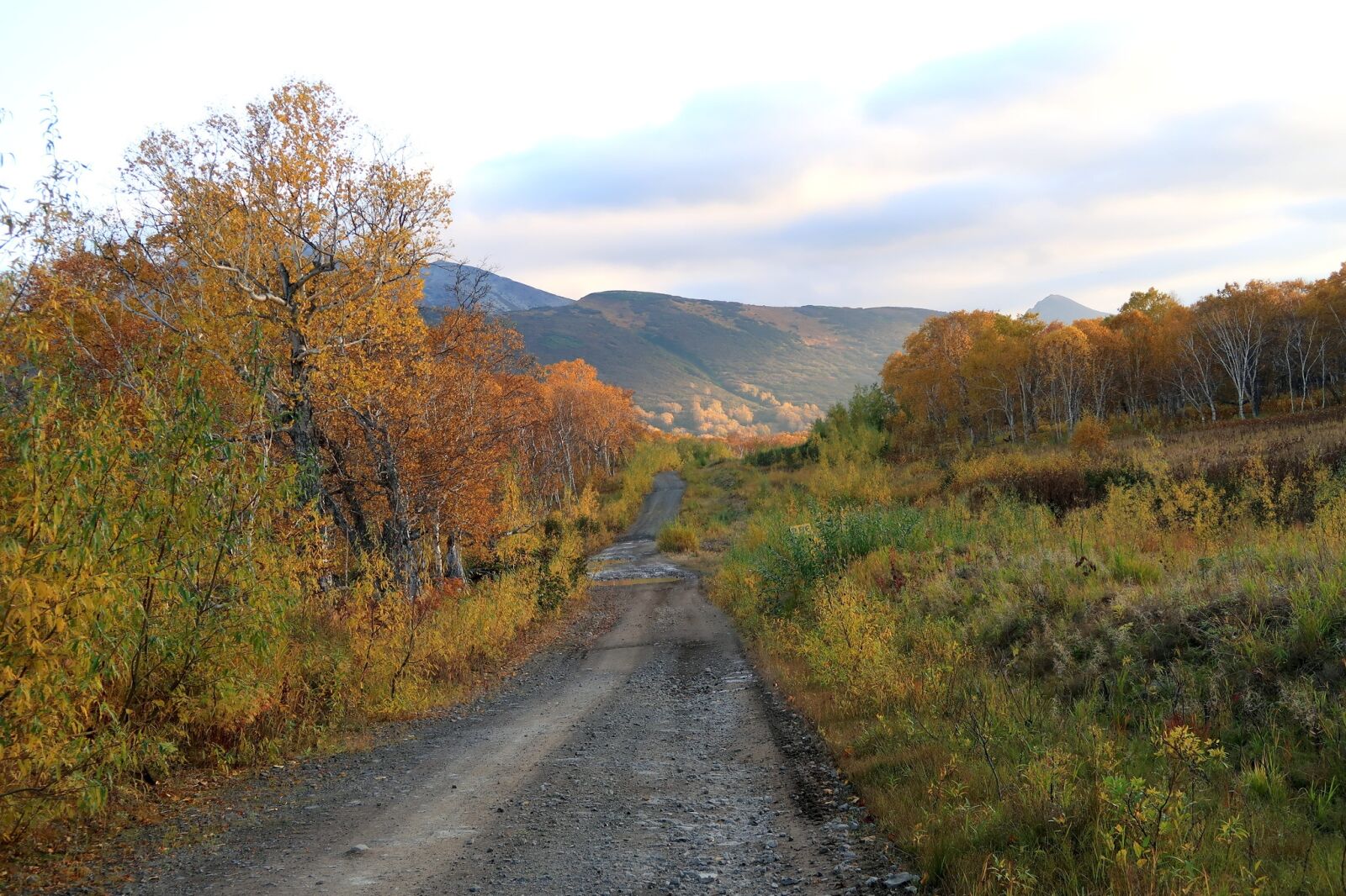 Canon PowerShot G7 X Mark II sample photo. Autumn, mountains, forest photography