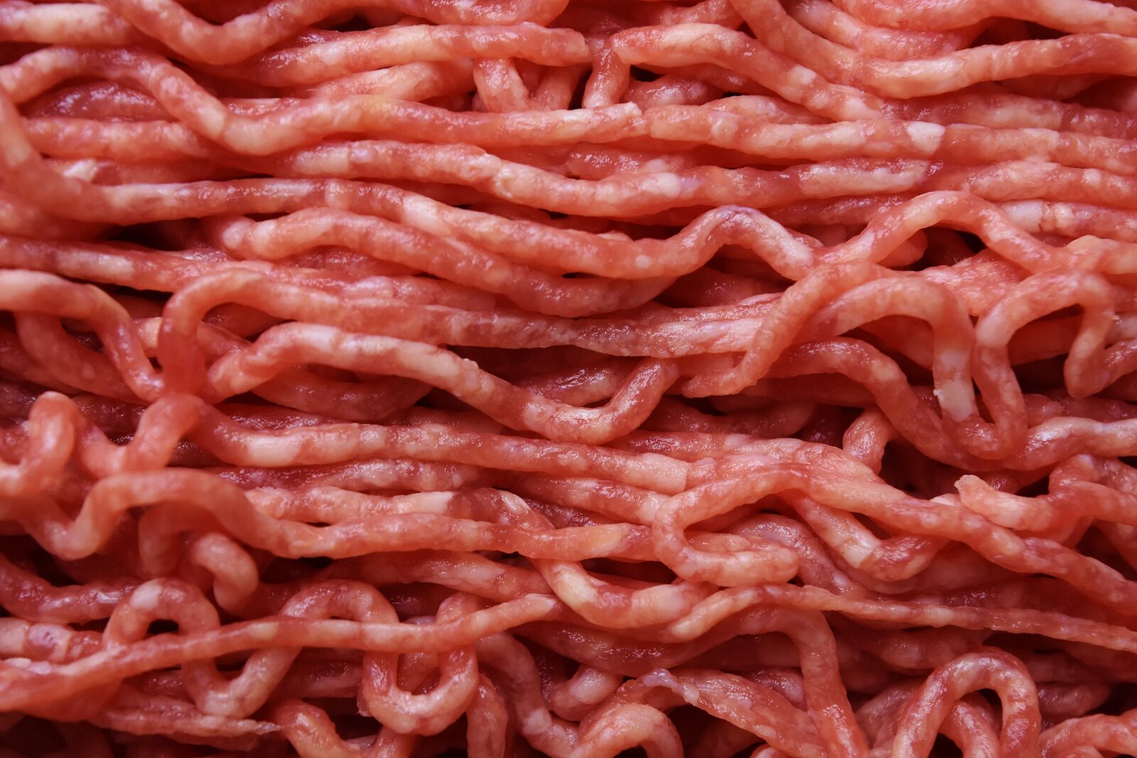 Nikon D7200 sample photo. Minced meat, meat, minced photography