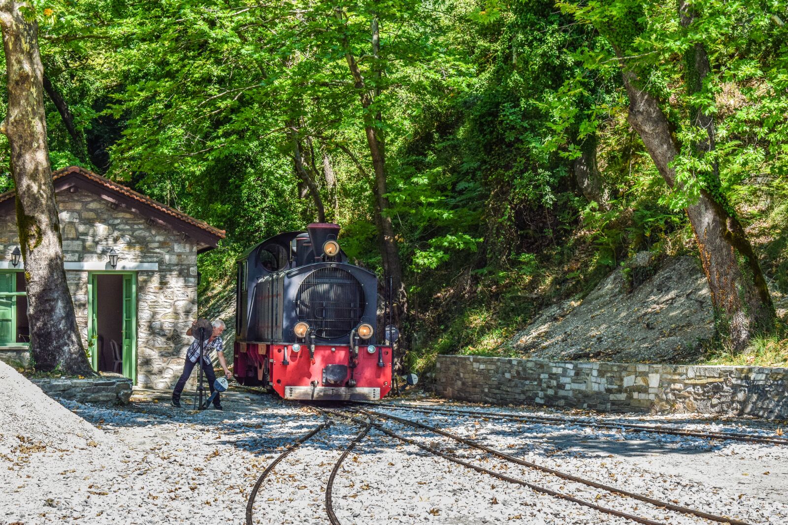 Nikon D3300 sample photo. Train, changing line, railway photography
