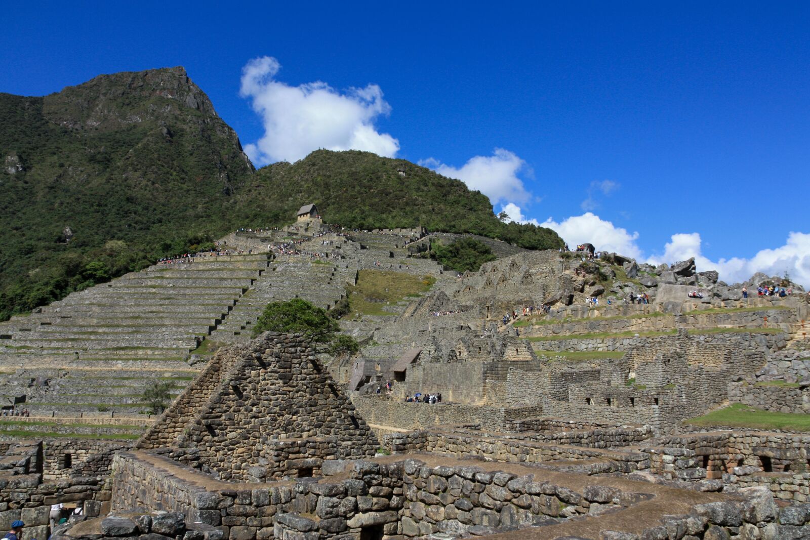 Canon EOS 450D (EOS Rebel XSi / EOS Kiss X2) sample photo. Machu picchu, peru, inca photography