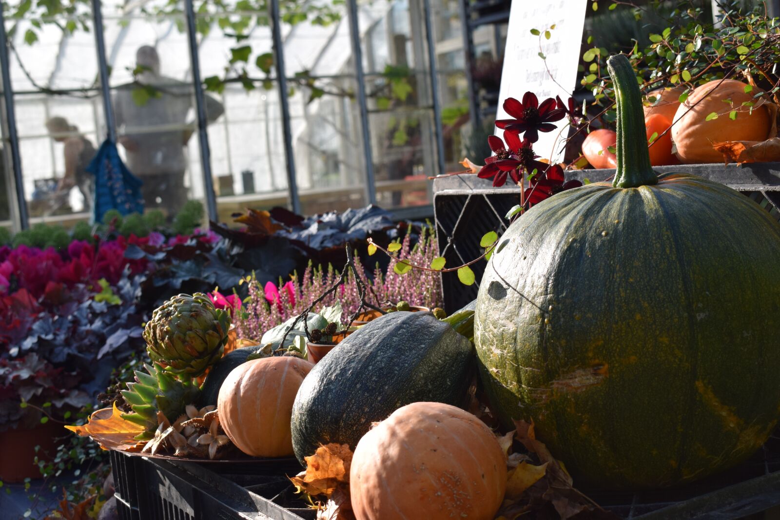 Nikon D3300 sample photo. Autumn, market, pumpkin photography