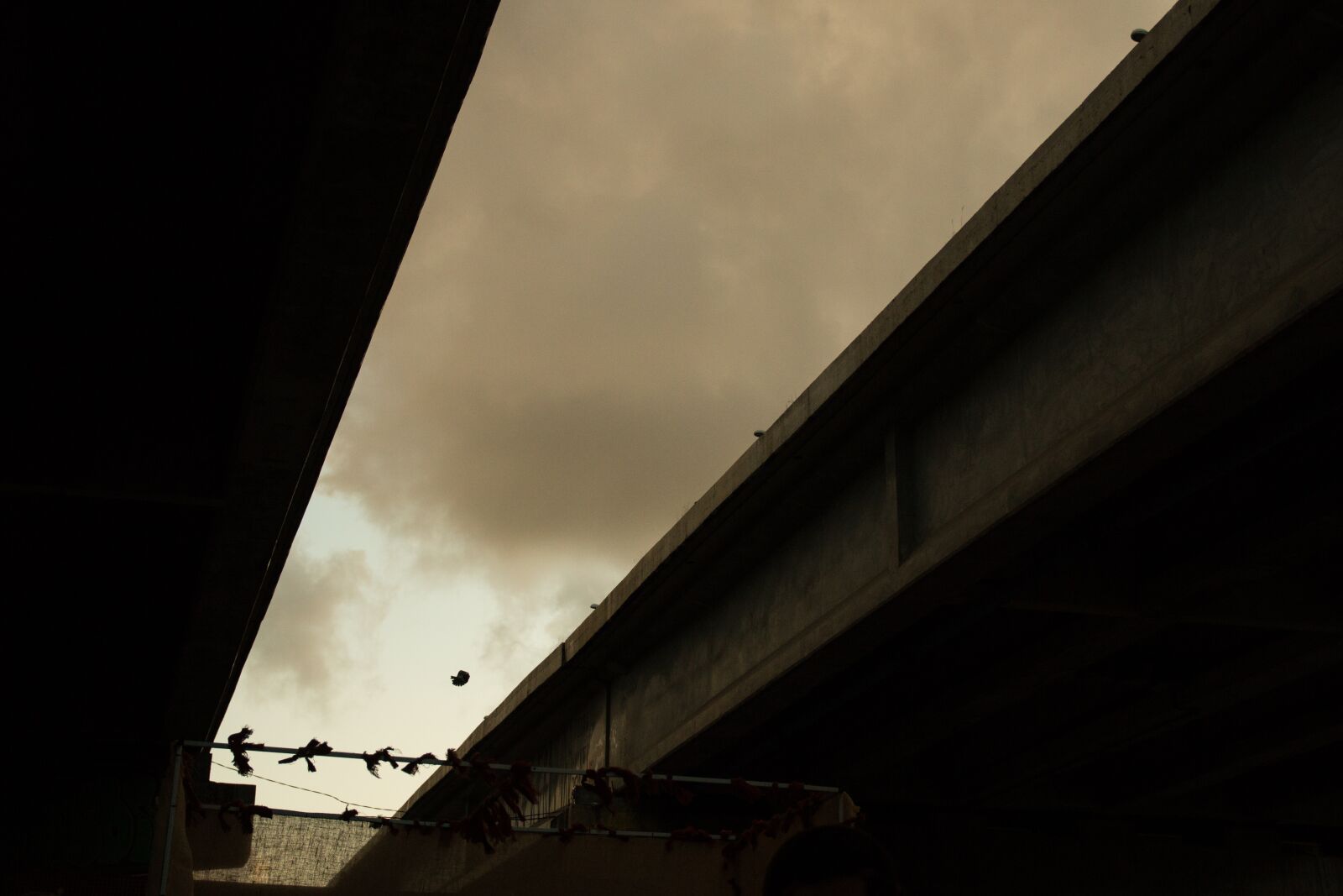 Canon EOS 70D sample photo. Viaduct, sunset, urban photography