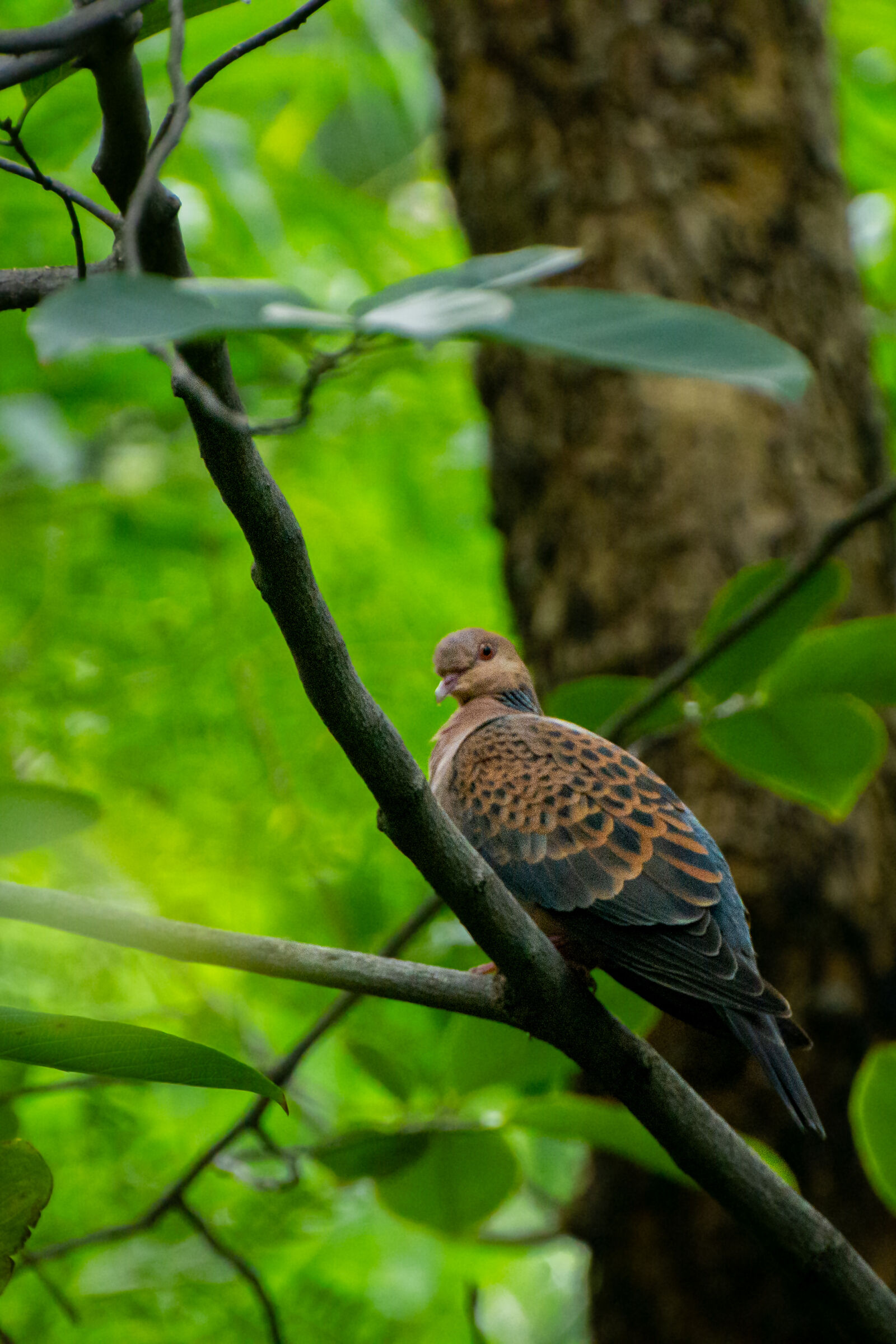 Panasonic Lumix DMC-G7 sample photo