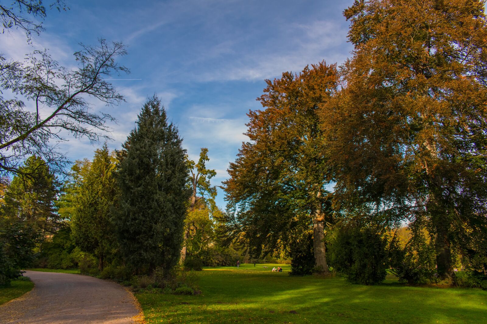 Nikon D5600 sample photo. Weimar, park, germany photography