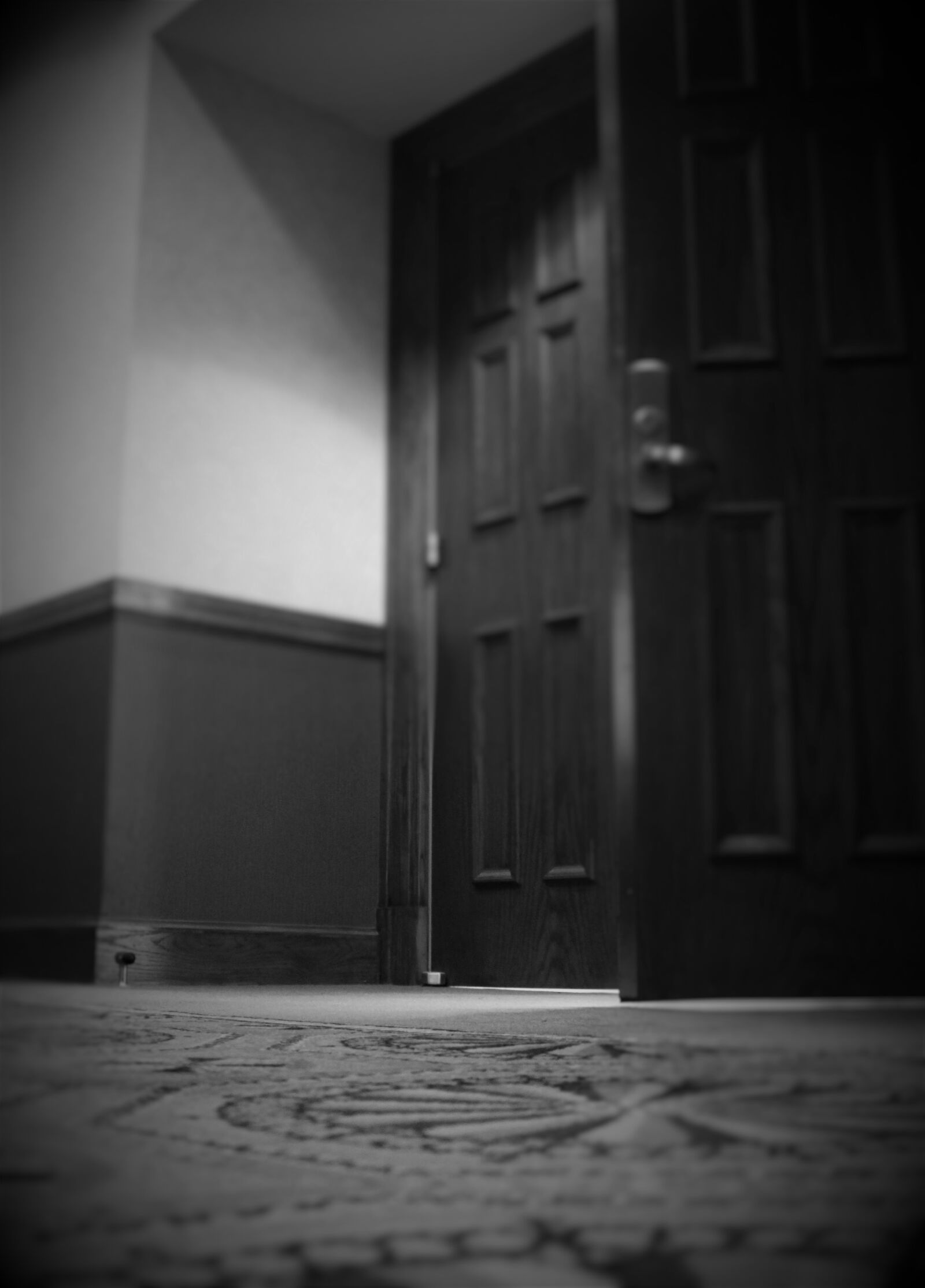 Canon EOS 100D (EOS Rebel SL1 / EOS Kiss X7) sample photo. Door, black and white photography