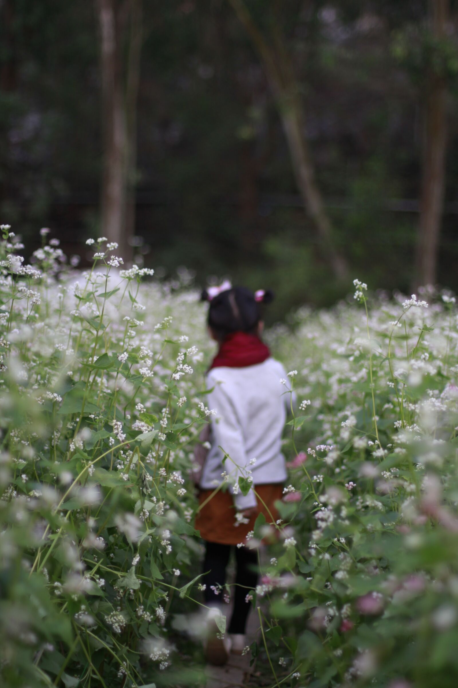 Canon EOS 50D sample photo. Little girl, flowers, spring photography
