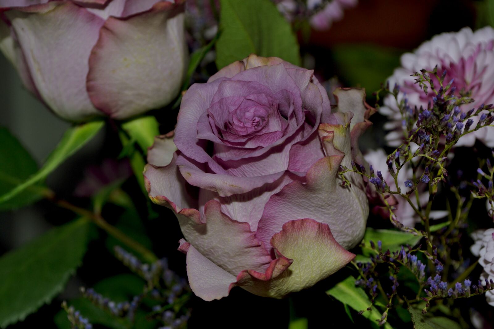 Nikon D3100 sample photo. Bouquet, flower, green, night photography