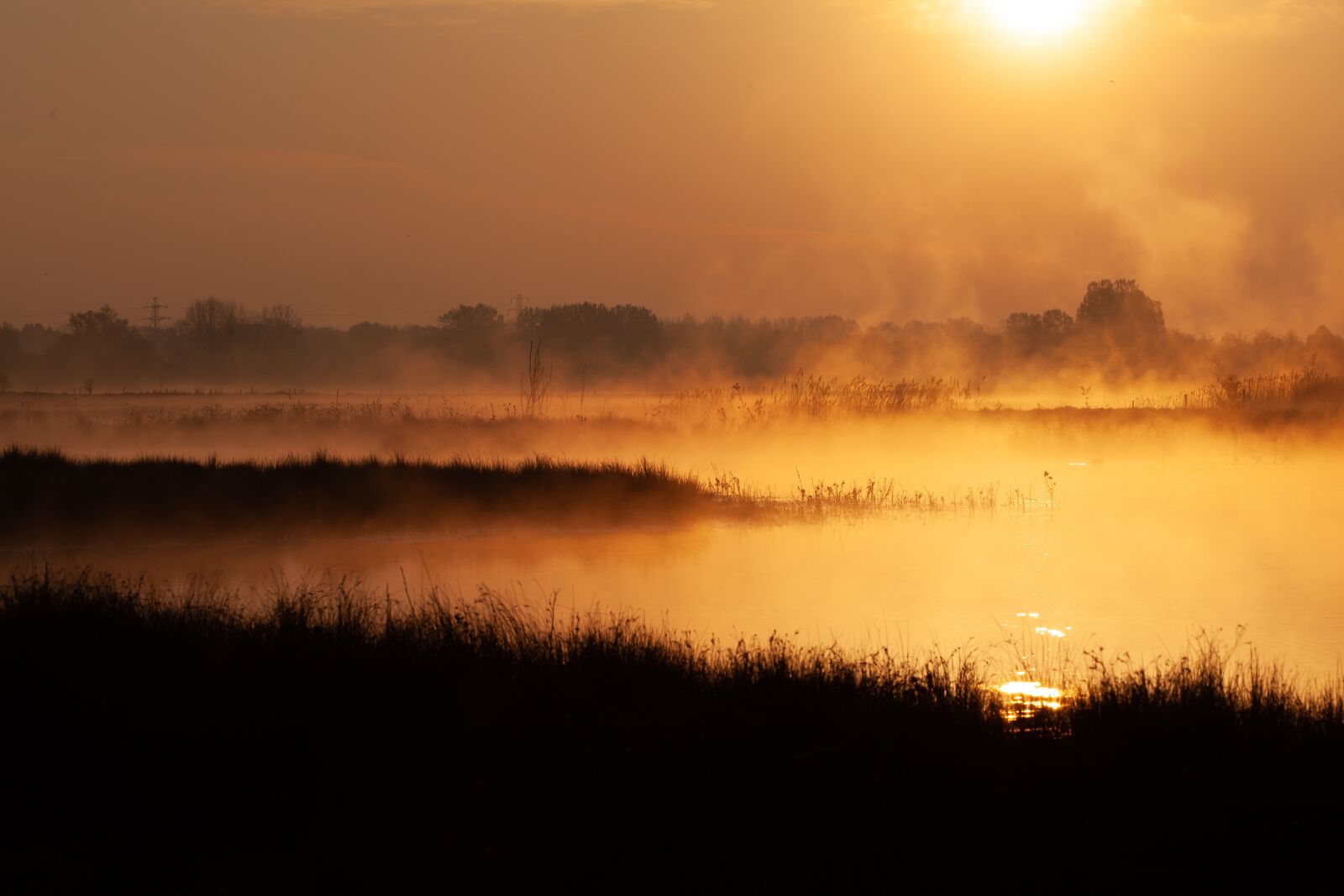 Canon EOS 5D Mark II sample photo. Misty, mist, fog photography
