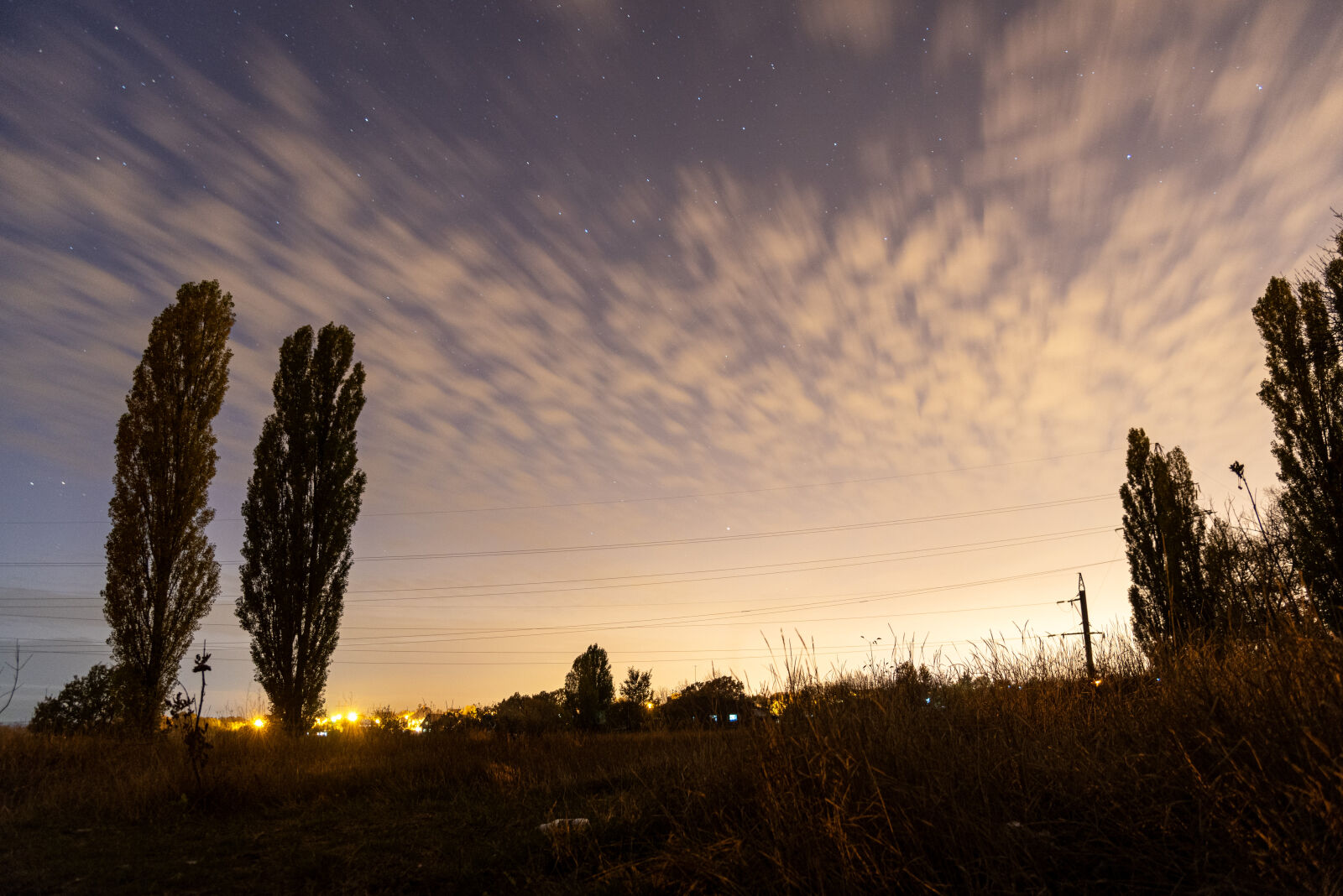 Nikon D750 sample photo
