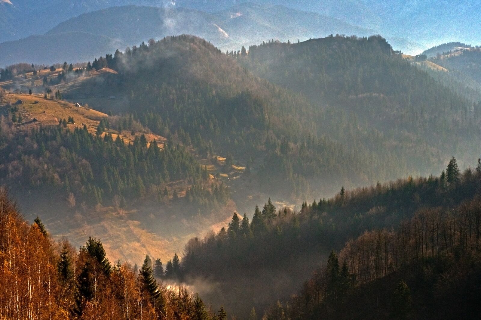 Nikon D300 sample photo. Carpathians, piatra craiului, mountain photography