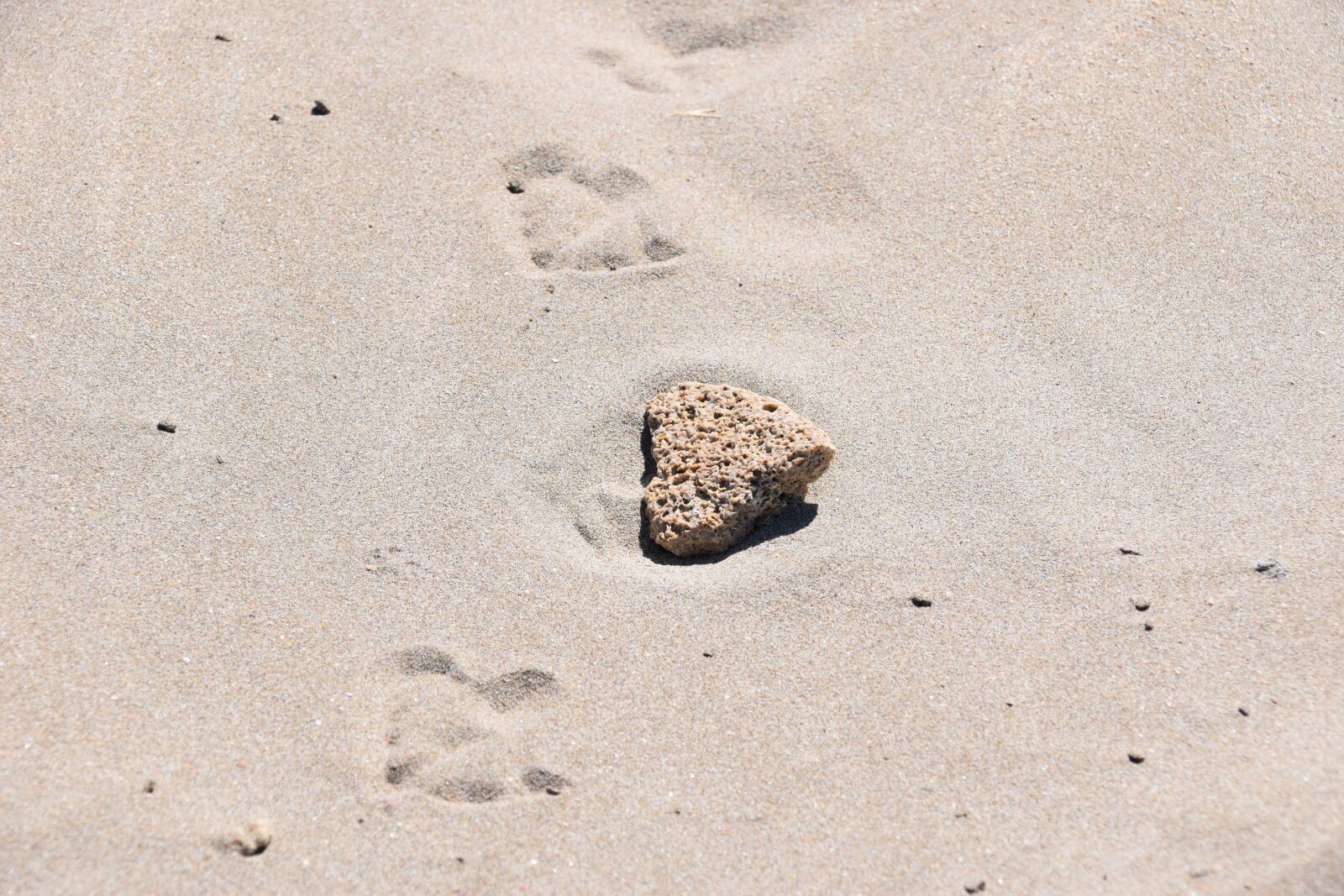 Nikon D5500 sample photo. Heart, love, sand photography