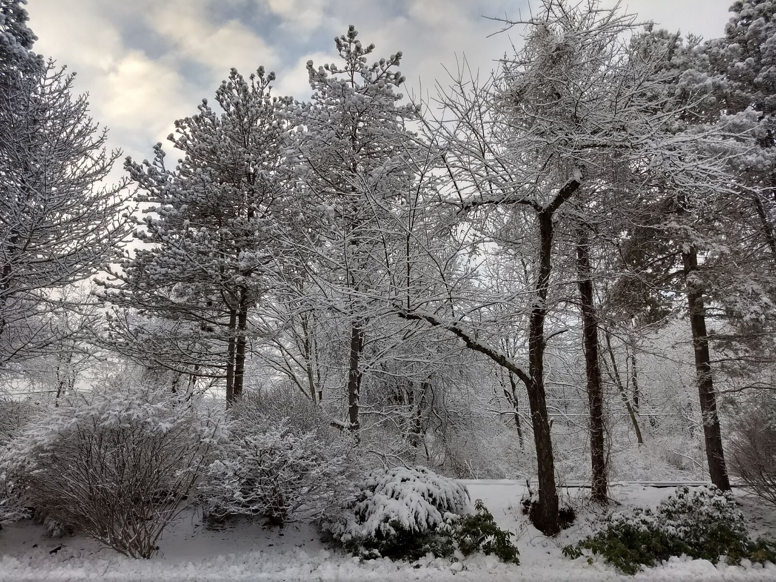 Motorola Moto G (5) Plus sample photo. Ice, storm, winter photography