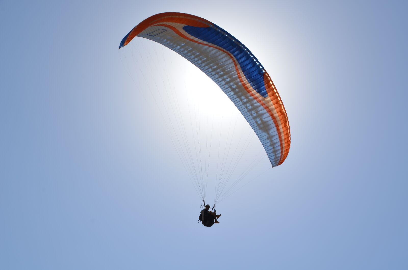 Nikon D5100 sample photo. Sky, flight, air photography