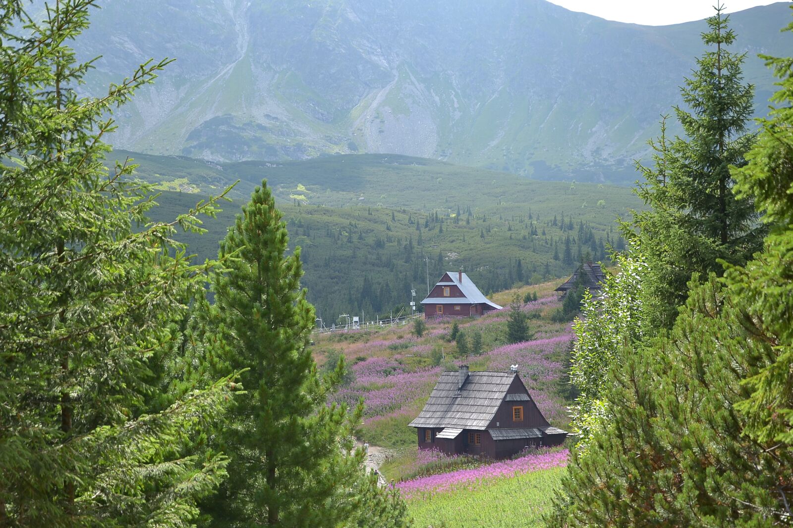 Nikon D3100 sample photo. Buried, mountains, hala g photography