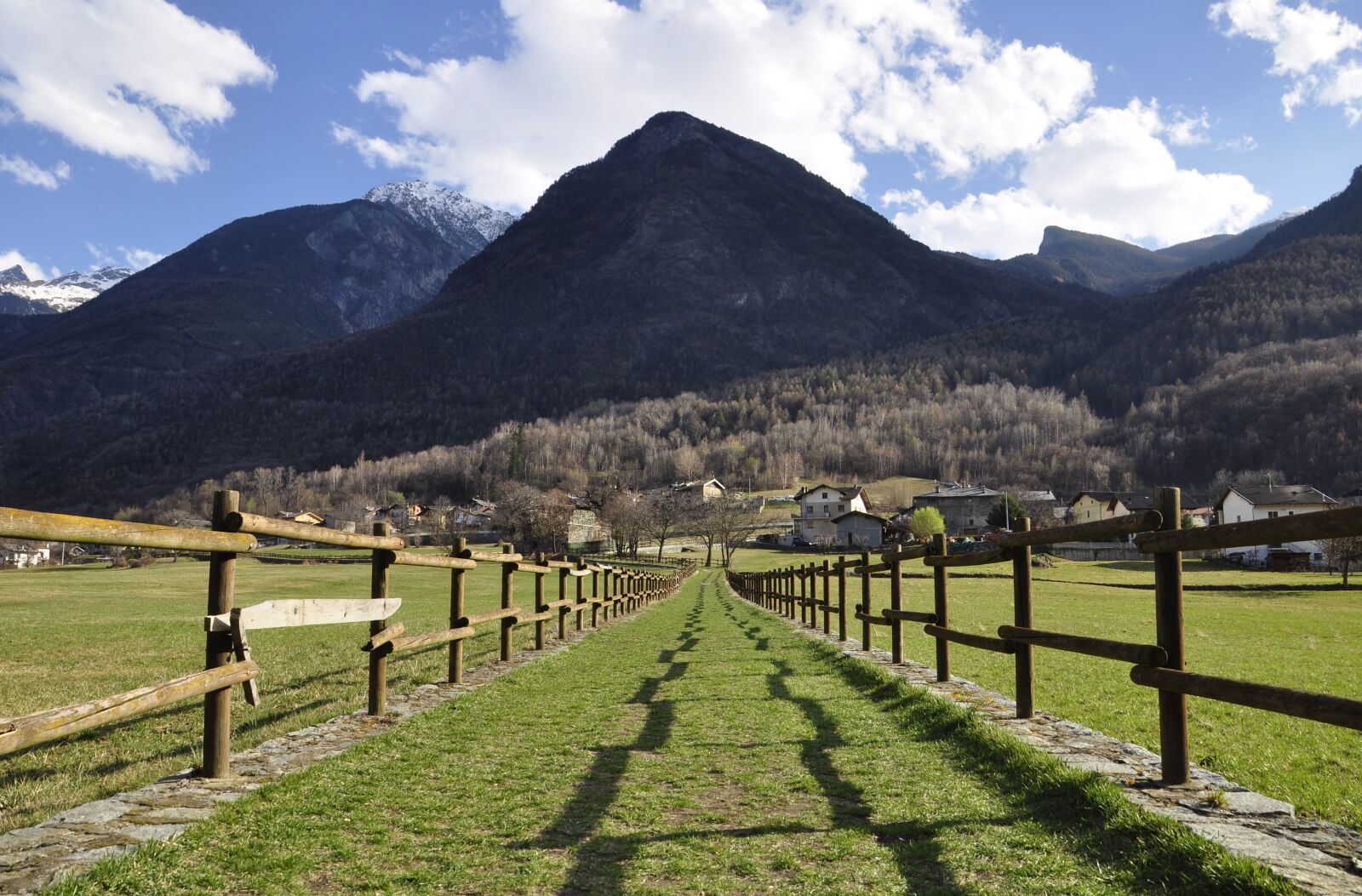 Nikon D5000 sample photo. Valle d'aosta, prato, green photography