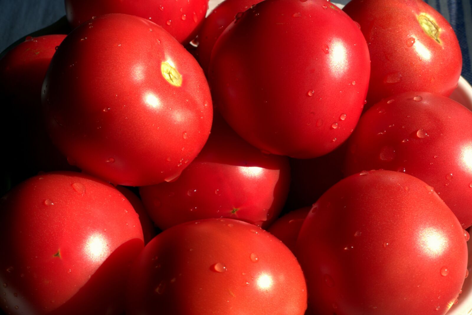 Pentax K-S2 sample photo. Tomatoes, red, mature photography