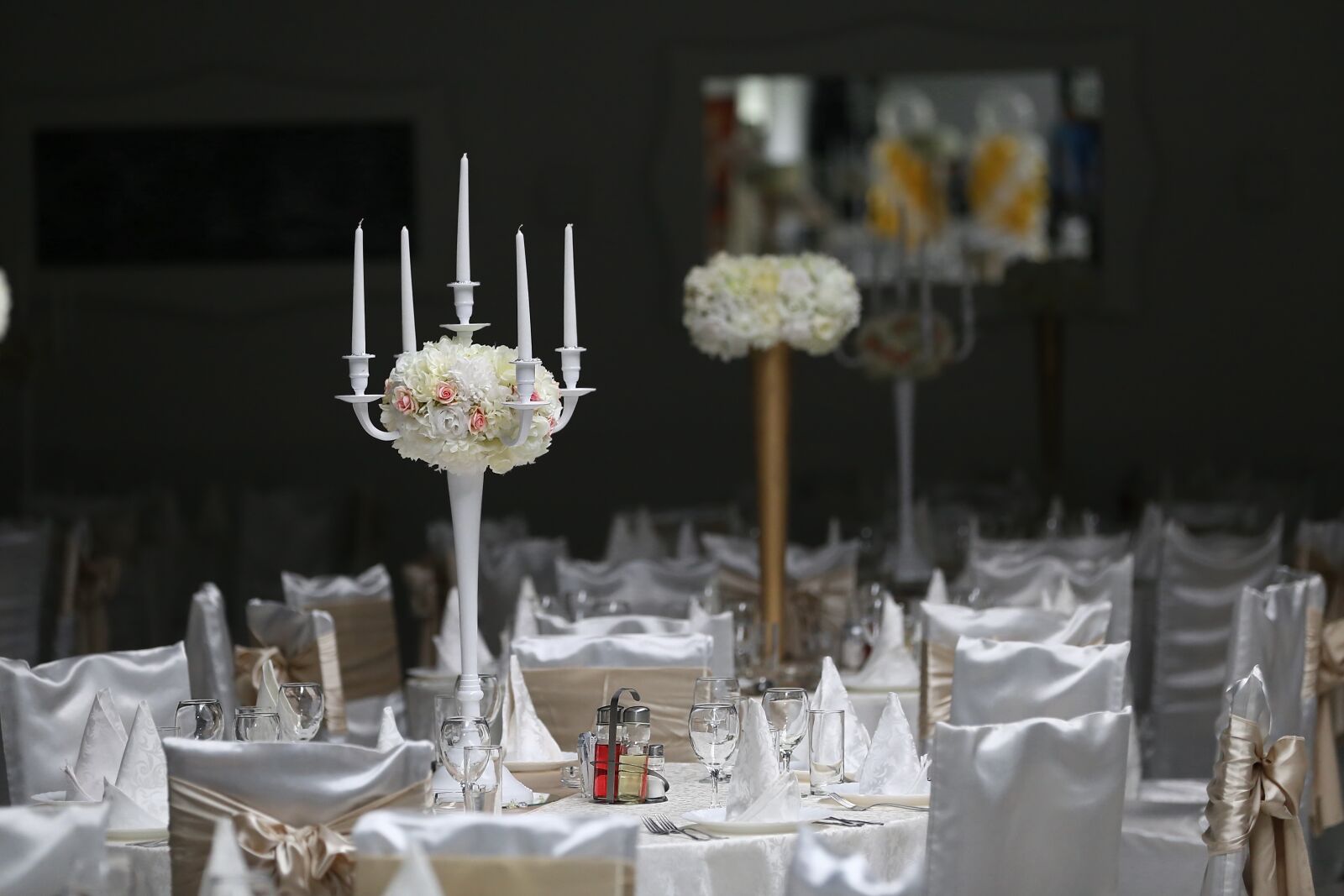 Canon EOS 6D + Canon EF 70-200mm F2.8L IS II USM sample photo. Fancy, dinner table, wedding photography