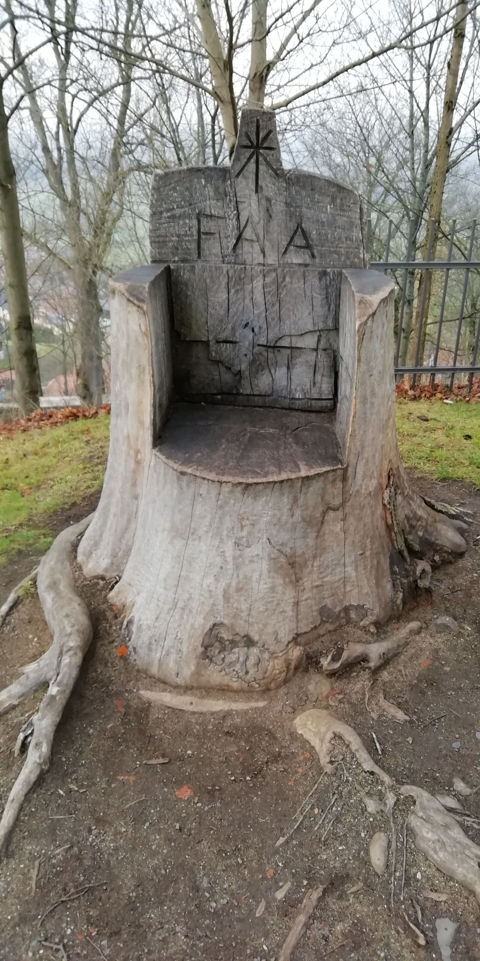 HUAWEI FIG-LX1 sample photo. Art, wood, tree photography
