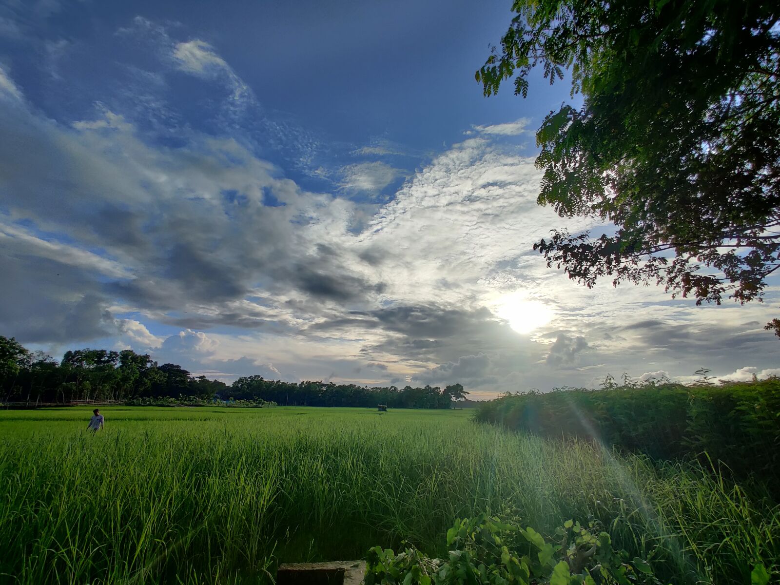 OnePlus GM1910 sample photo. Nature, landscape, sky photography