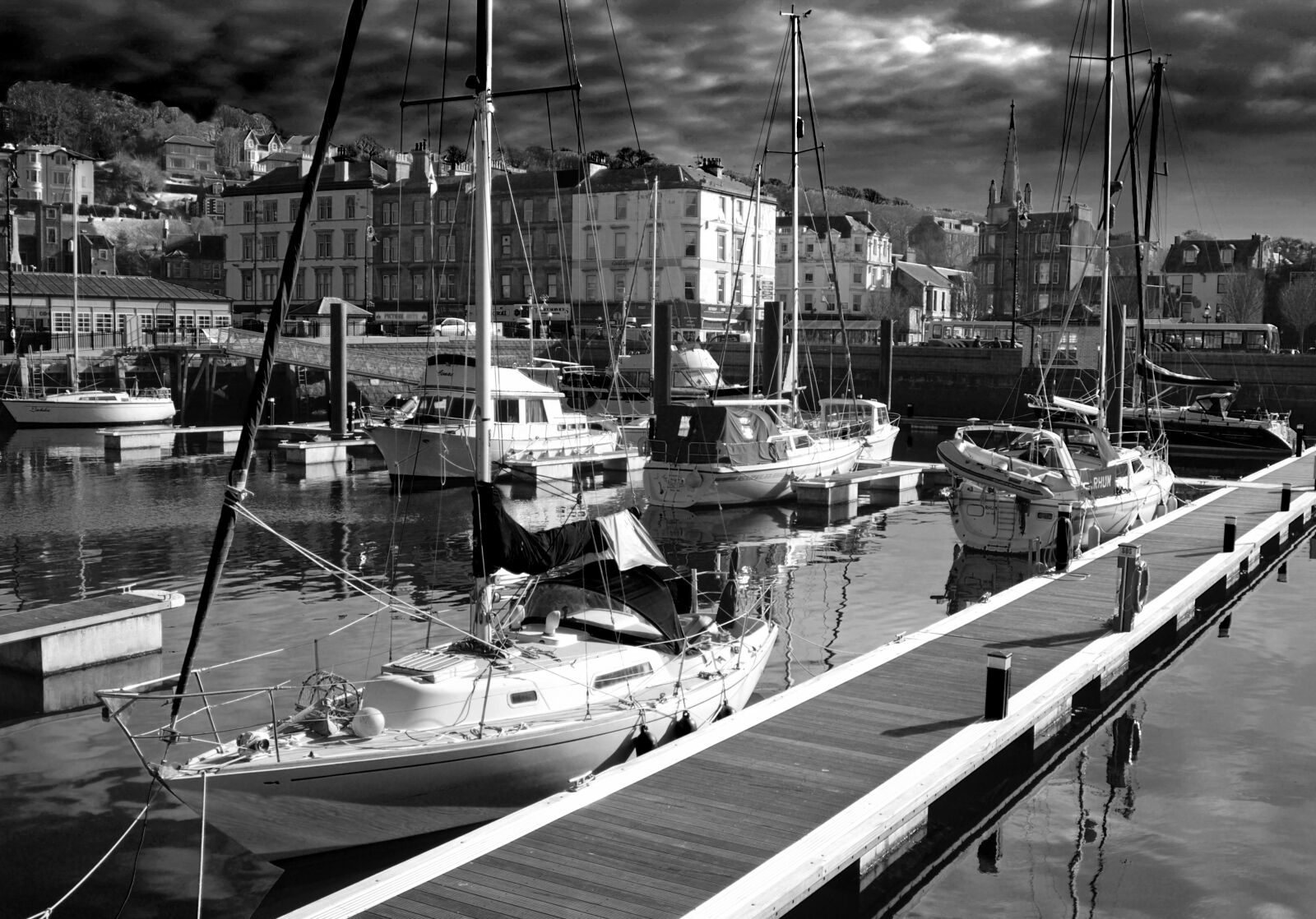 Nikon D40X sample photo. Greyscale, photo, of, cuddy photography
