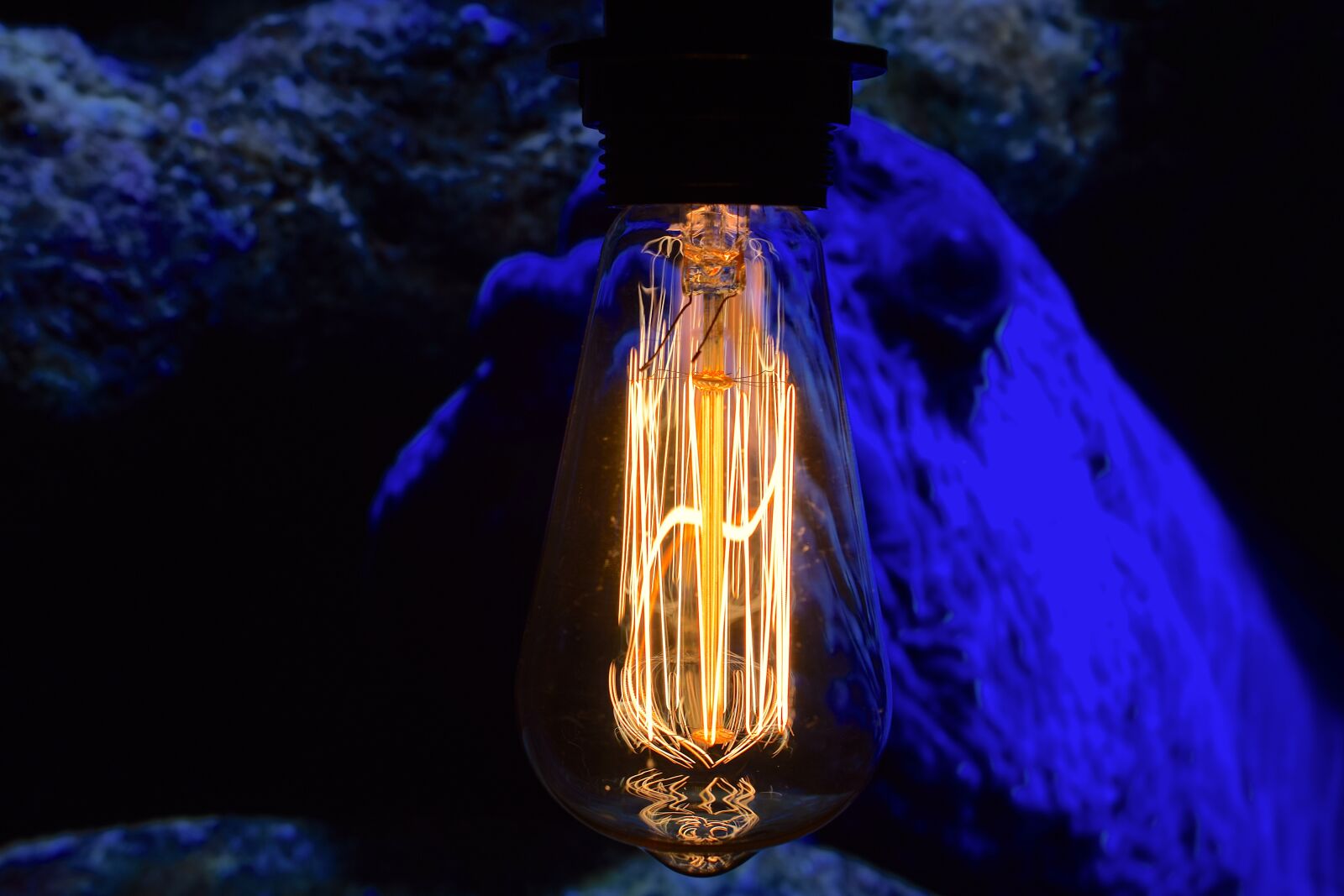 Nikon D5300 sample photo. Filament, vintage lamp, close photography