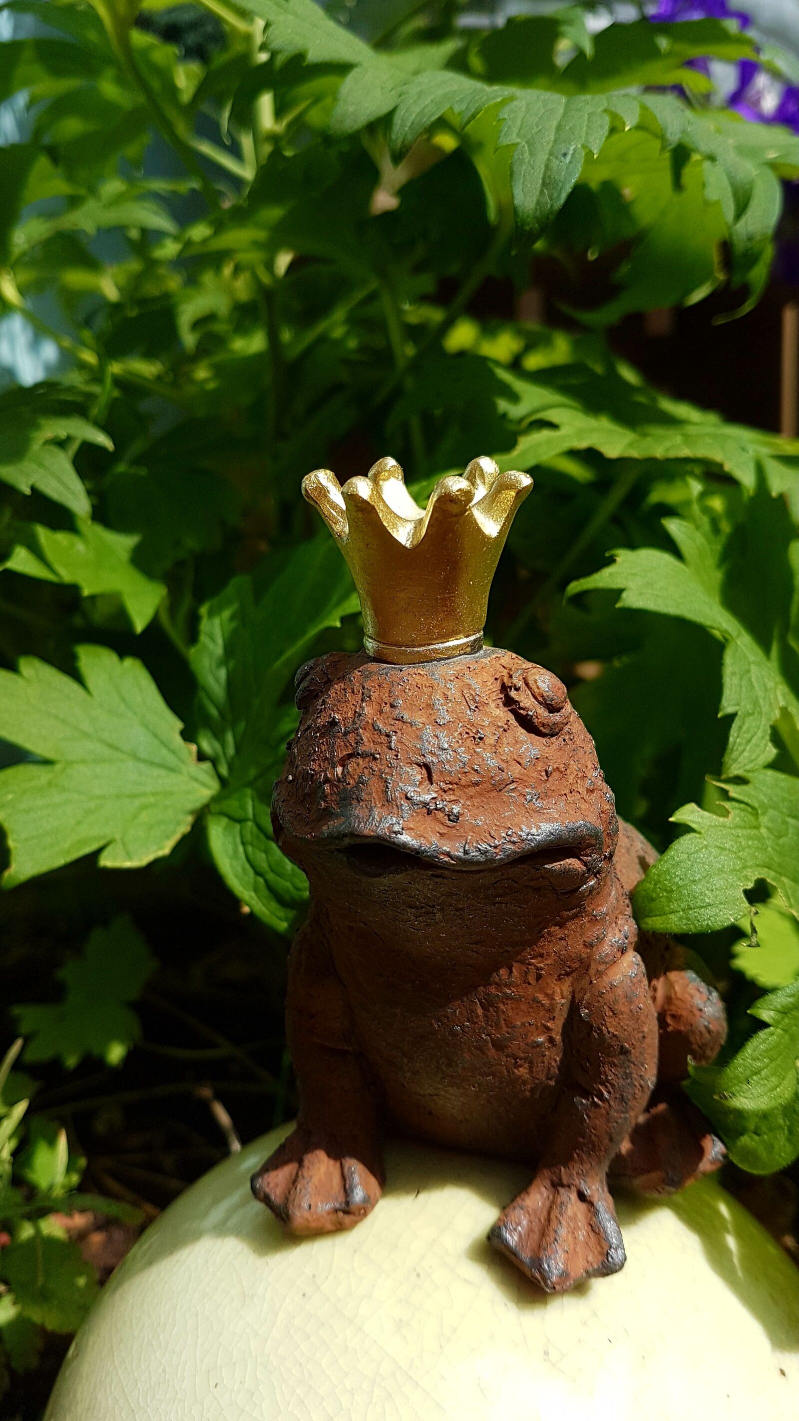Samsung Galaxy S7 Edge sample photo. Frog, frog prince, golden photography