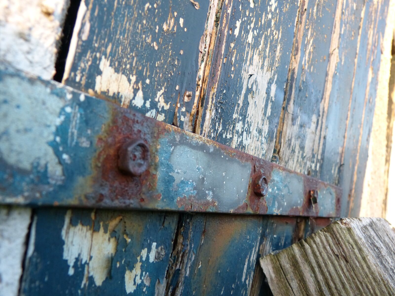 Panasonic Lumix DMC-FZ150 sample photo. Rusts, door, garden photography