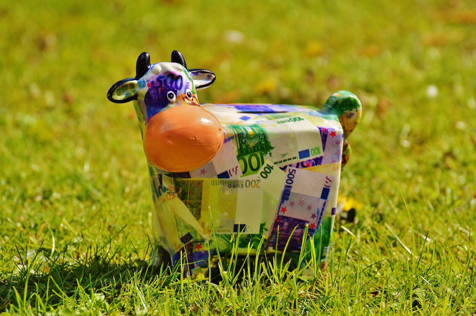 Nikon D3200 sample photo. Cow, save, money photography