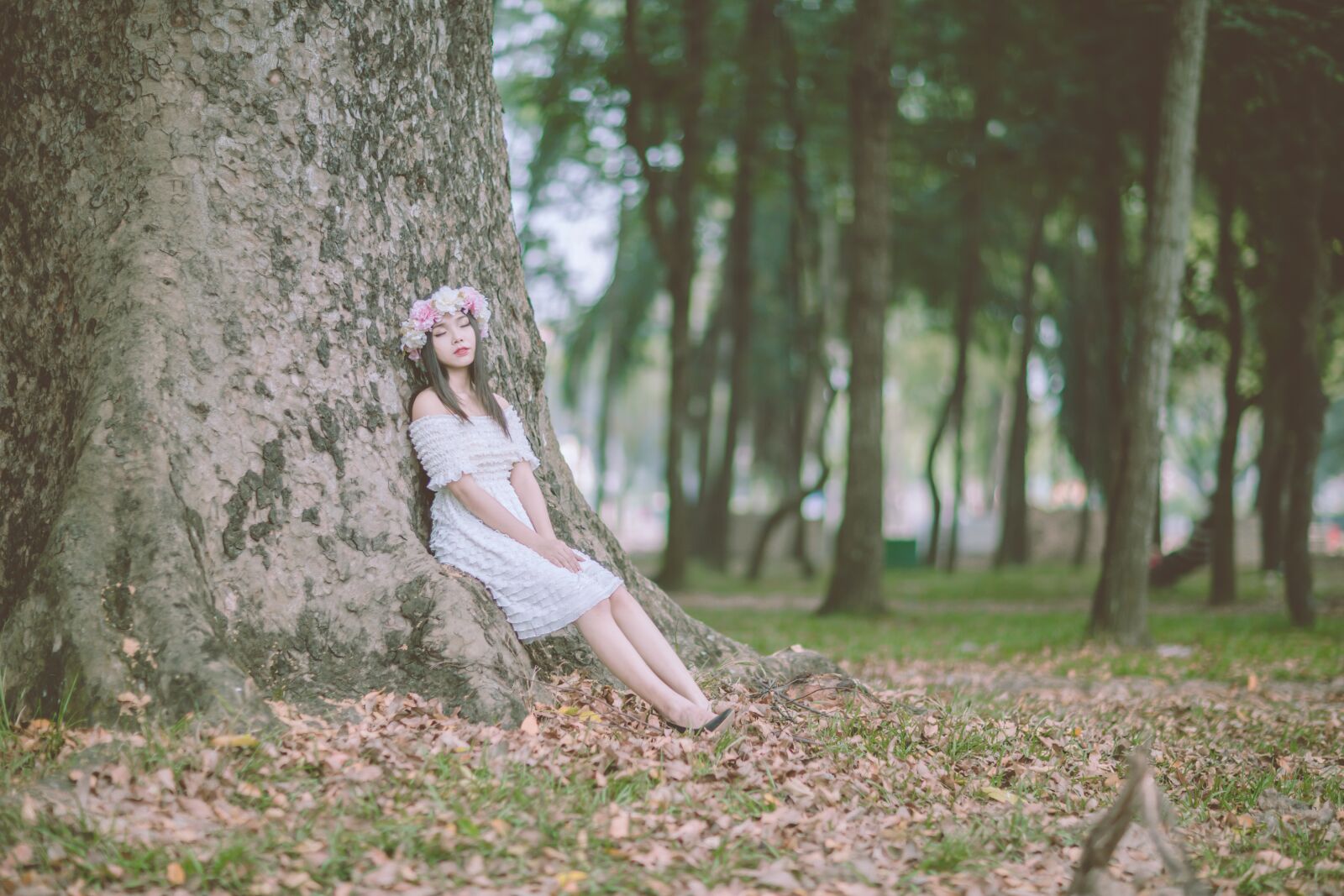 Canon EF 85mm F1.2L II USM sample photo. Forest, girl, model photography