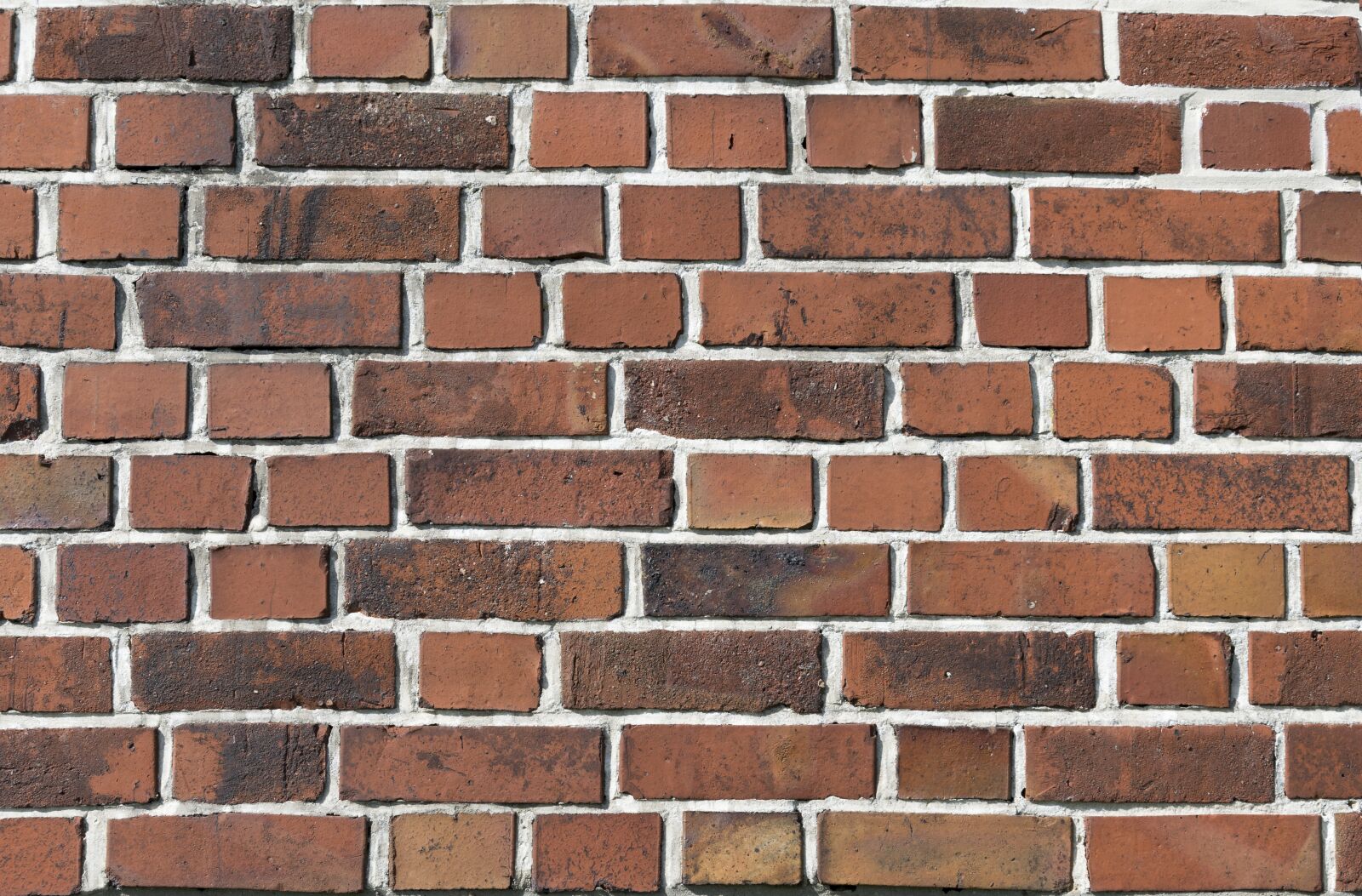 Nikon D3300 sample photo. Wall, bricks, texture photography