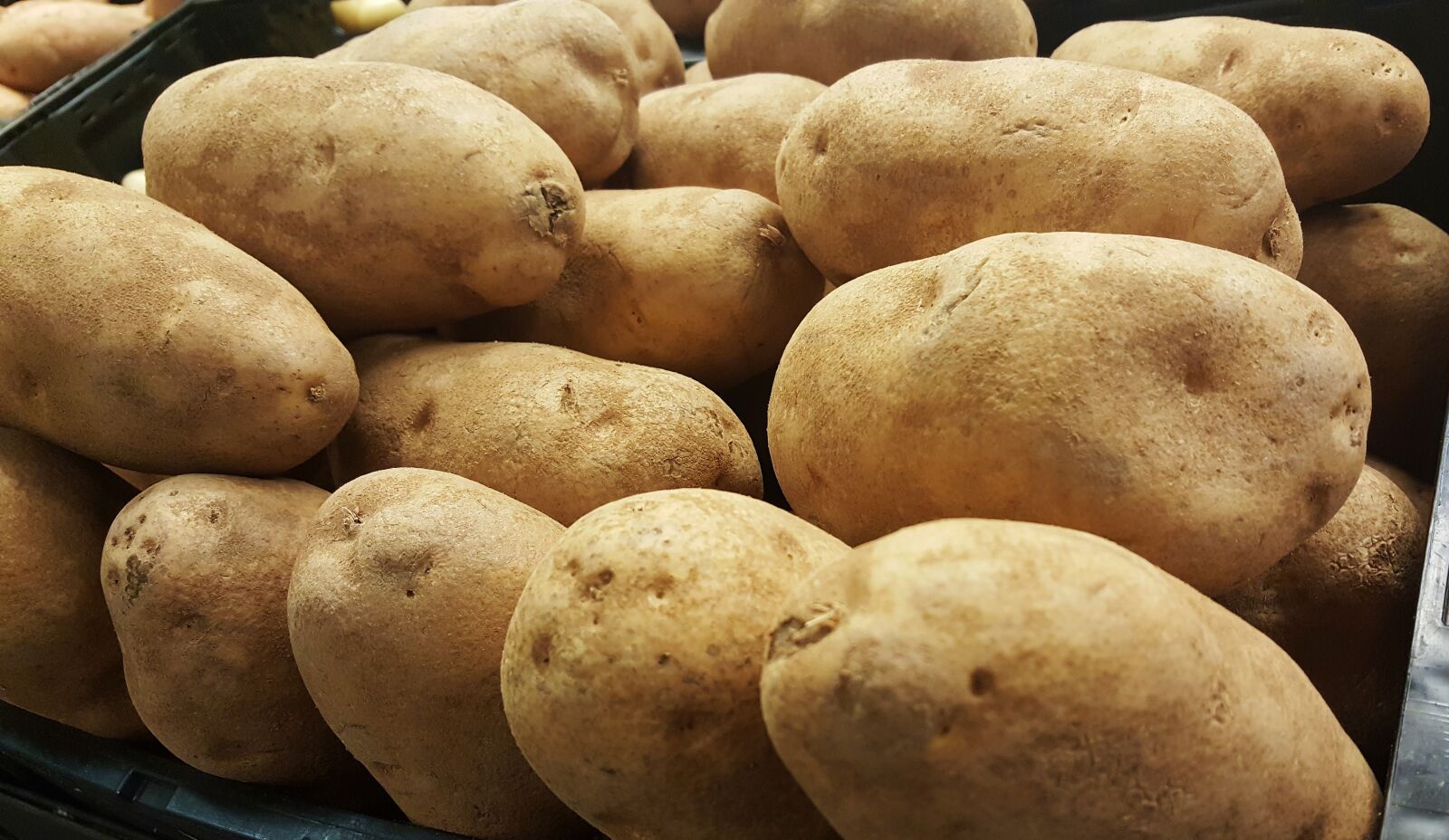 Samsung Galaxy Note5 sample photo. Potatoes, tubers, russet photography