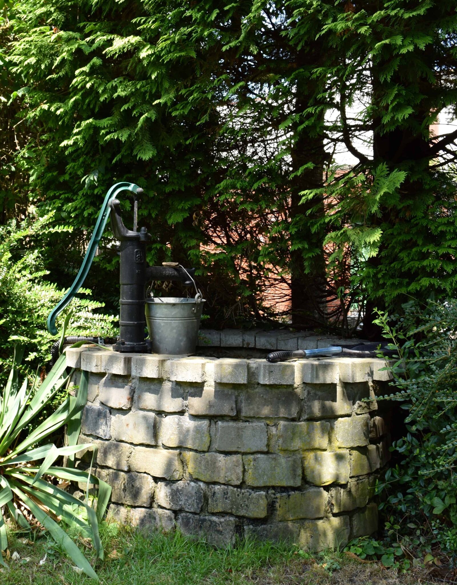 Nikon D3300 sample photo. Old, garden, tree, outdoor photography